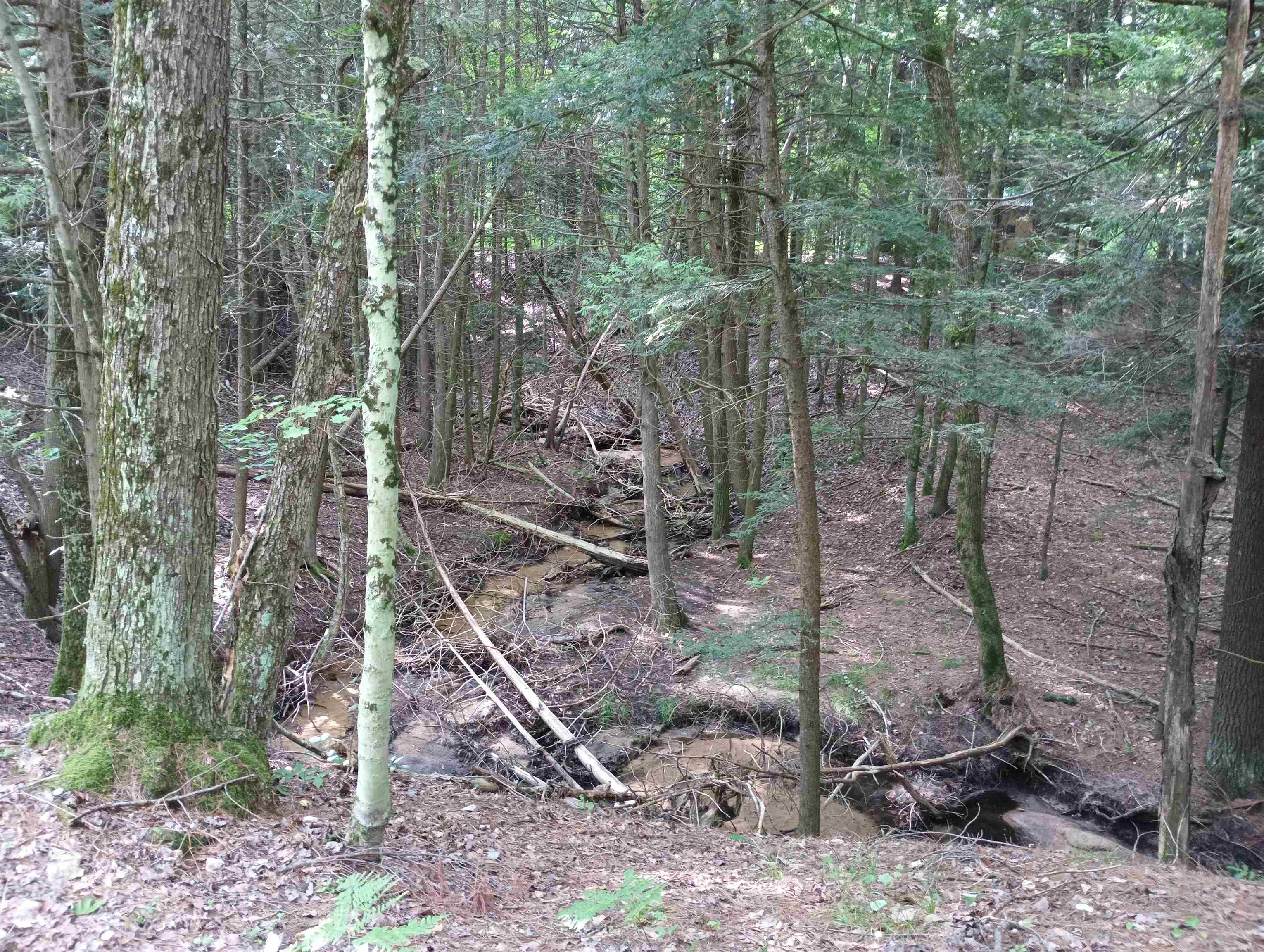 17th image of 30 Acres W 48 1/2 Rd, Wellston, MI 49689 | MLS# 78080071495
