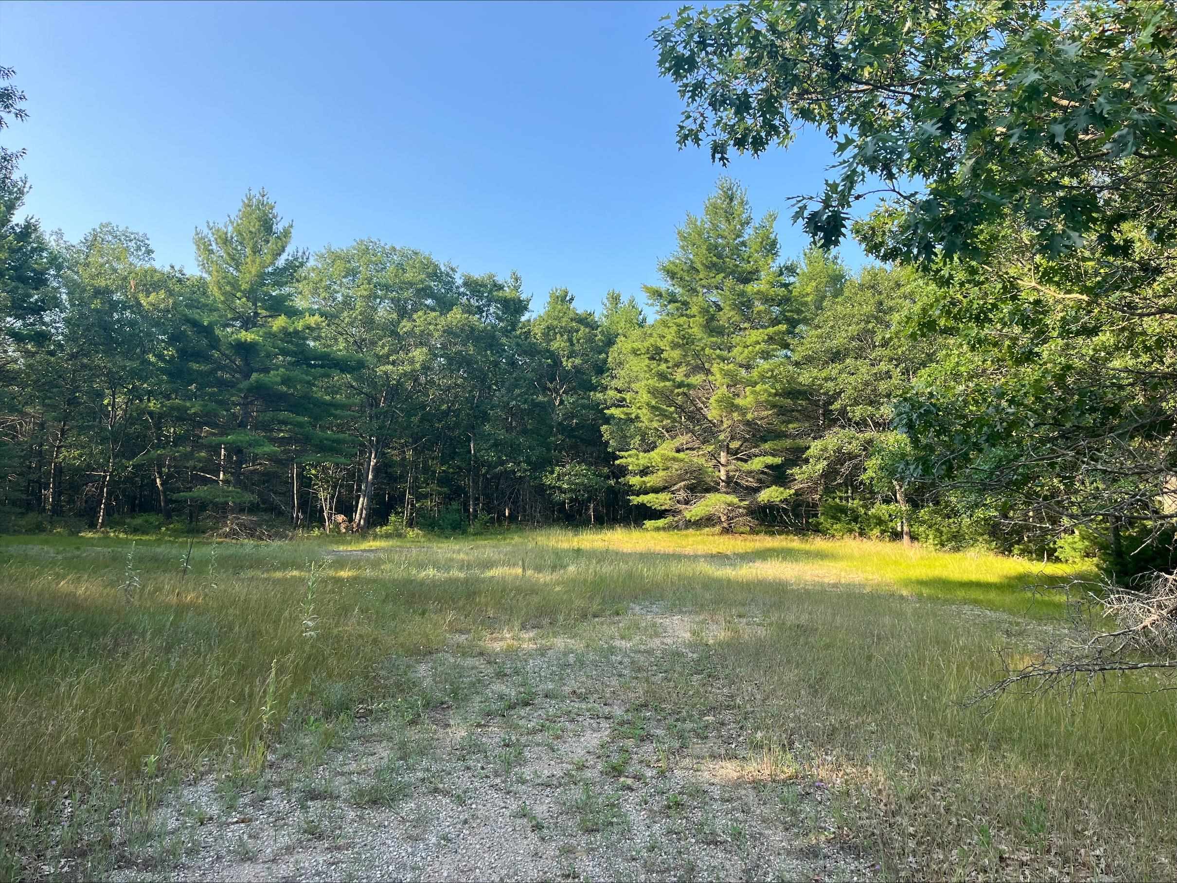 2nd image of 0 Mackenzie Rd, Oscoda, MI 48750 | MLS# 80071509