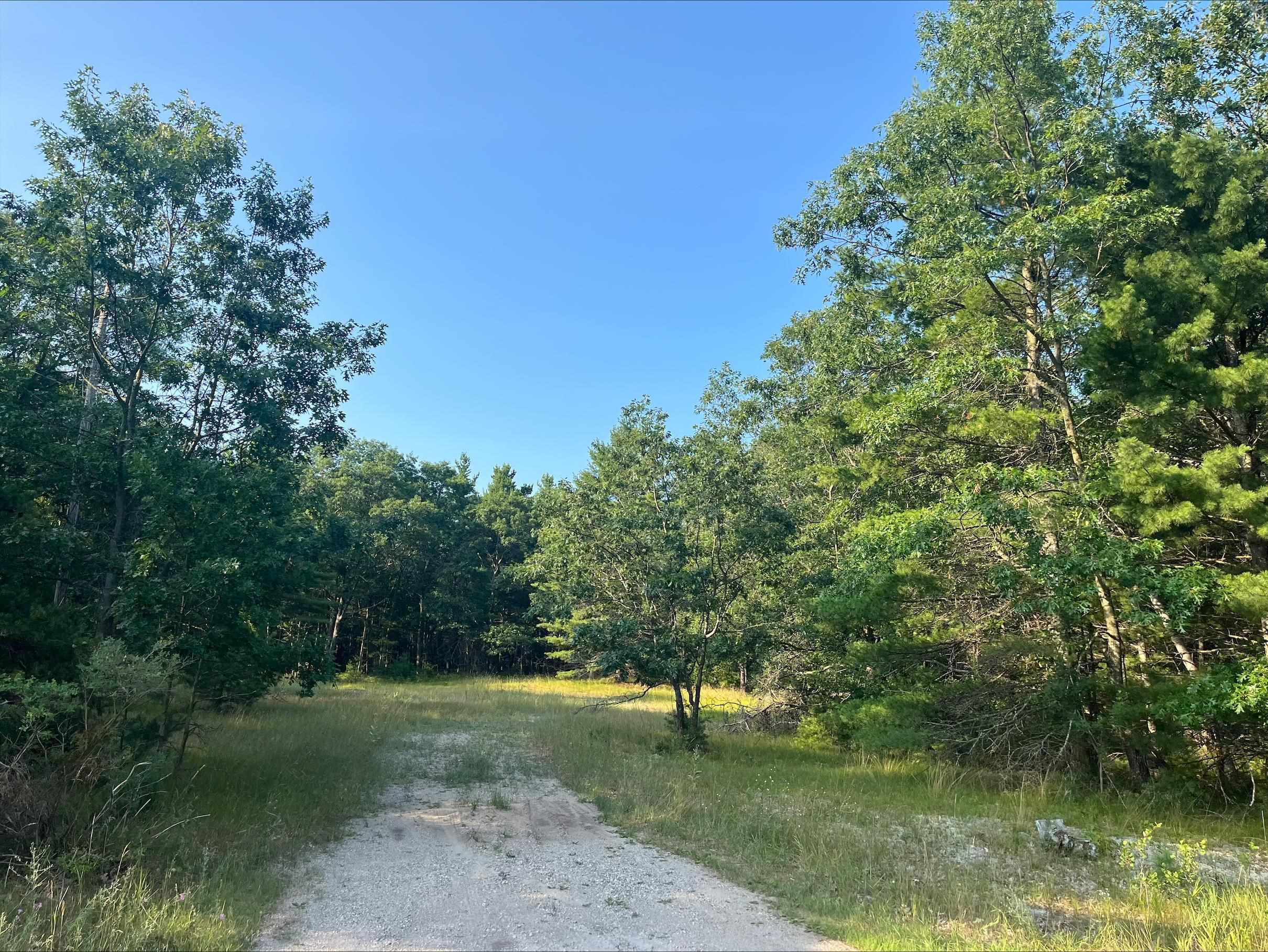 5th image of 0 Mackenzie Rd, Oscoda, MI 48750 | MLS# 80071509