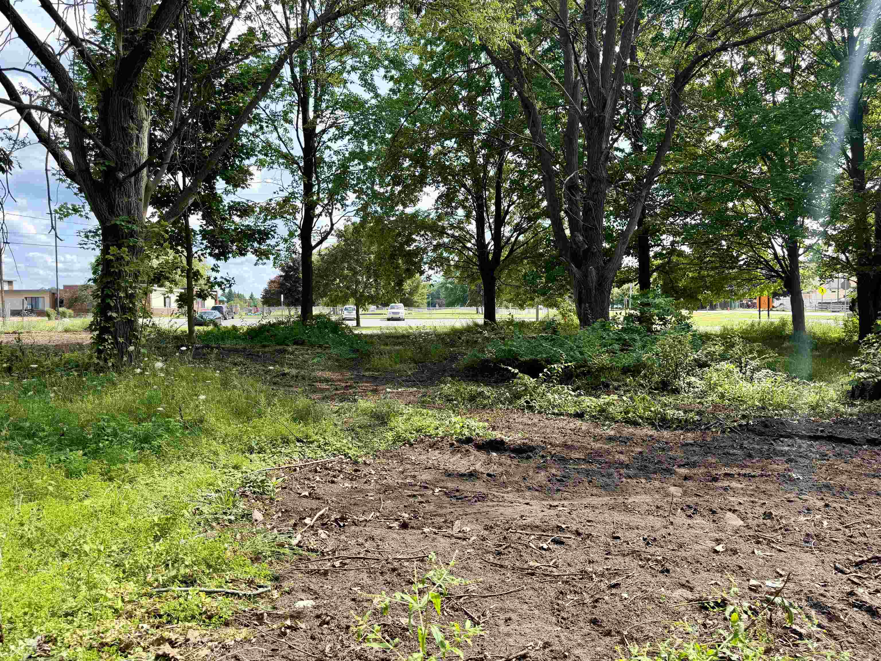 3rd image of Lot 30 Buckley, Elk Rapids, MI 49629 | MLS# 80071550