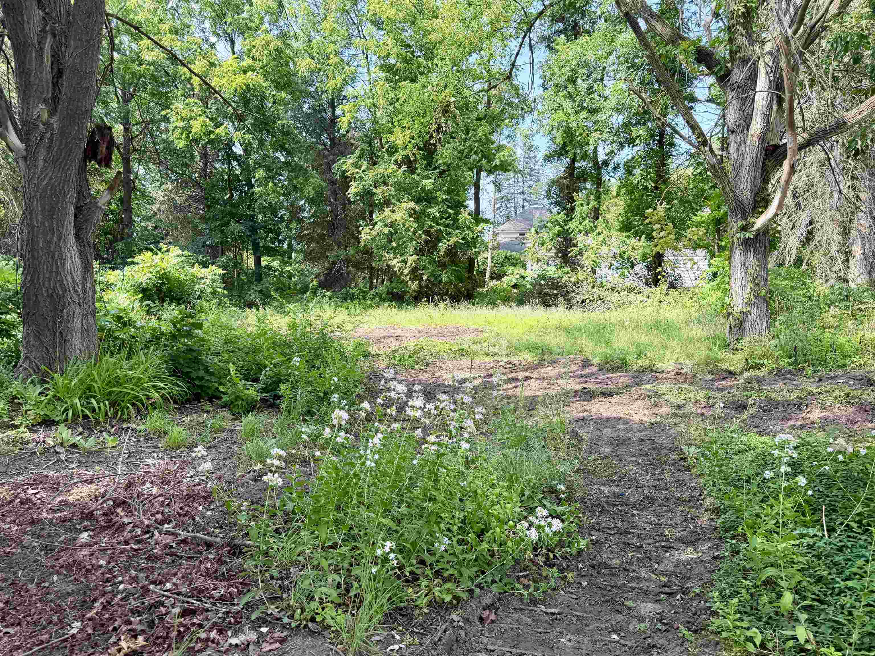 4th image of Lot 30 Buckley, Elk Rapids, MI 49629 | MLS# 80071550