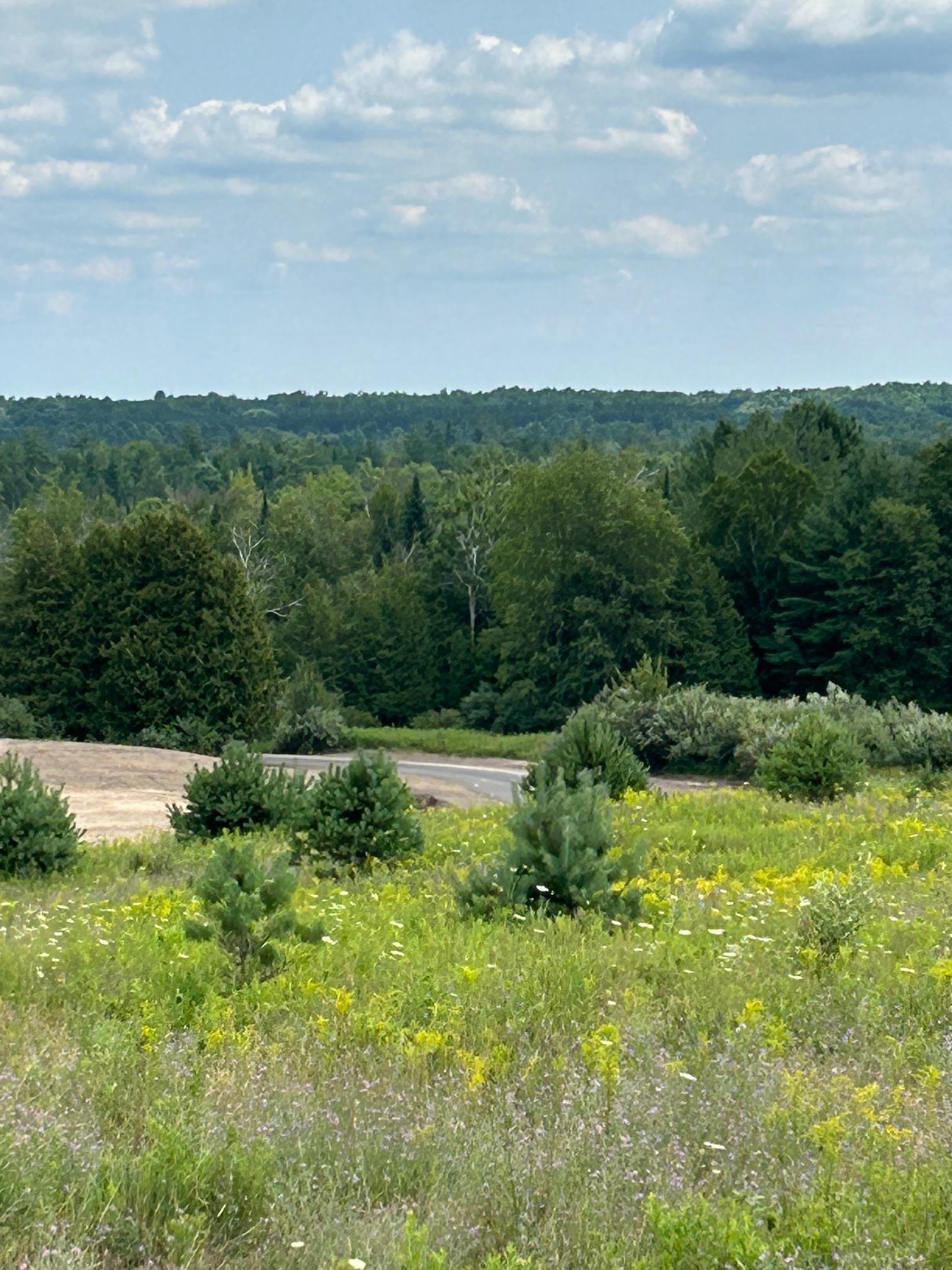 3rd image of Markenwood Ln, Williamsburg, MI 49690 | MLS# 80071580