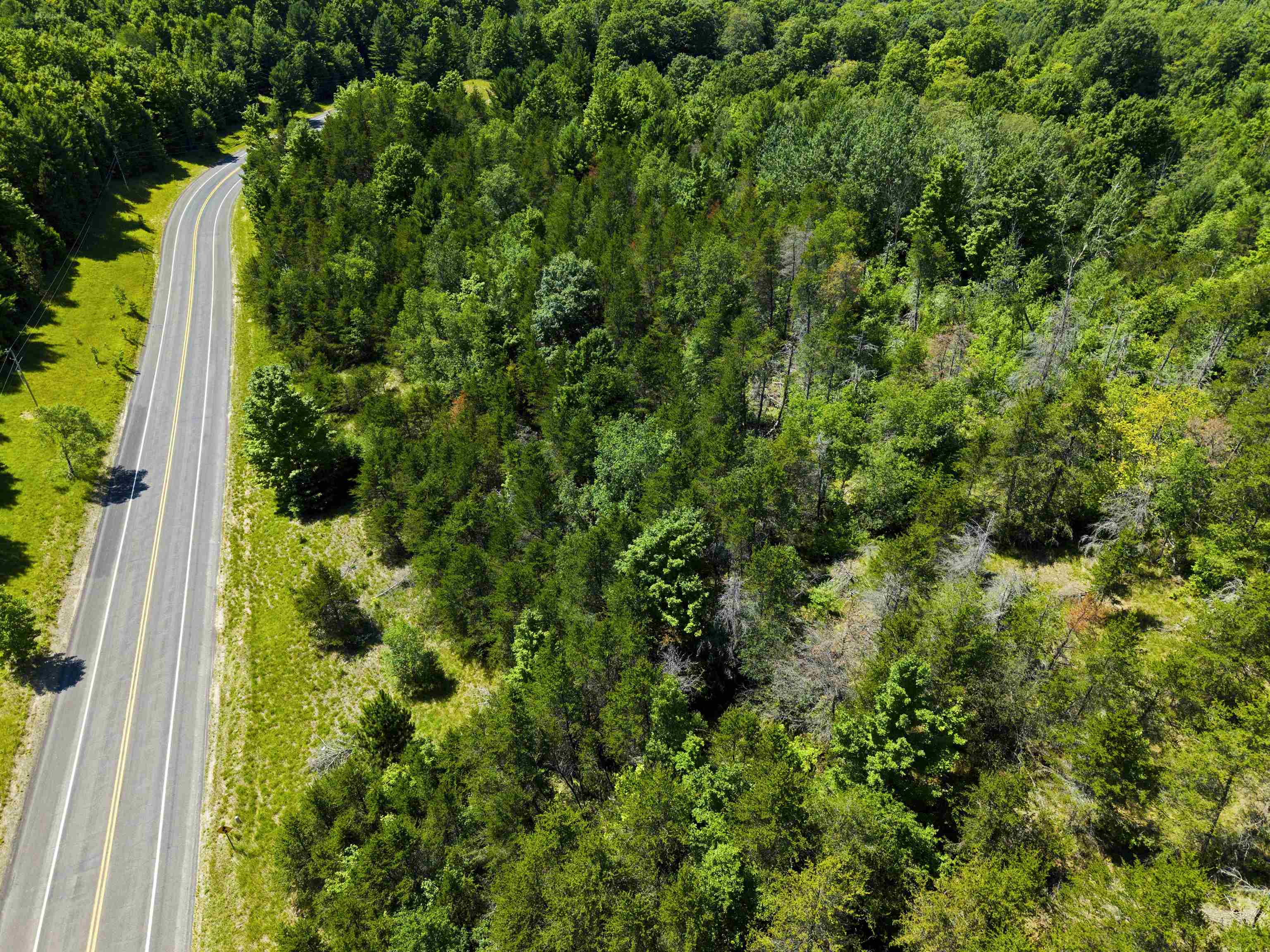 2nd image of 0000 Rapid City Rd, Rapid City, MI 49676 | MLS# 80071588