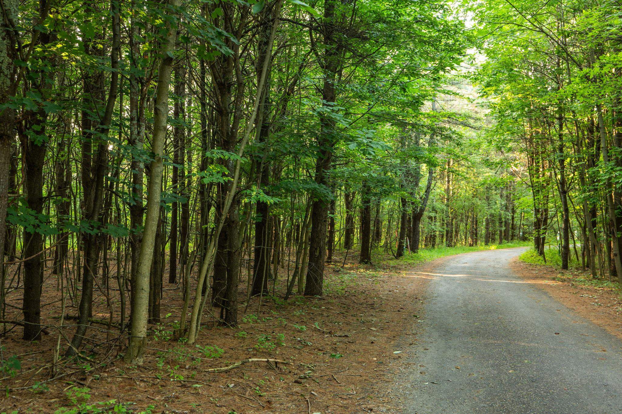 4th image of Parcel 13 N Vincer Wy, Northport, MI 49670 | MLS# 80071621