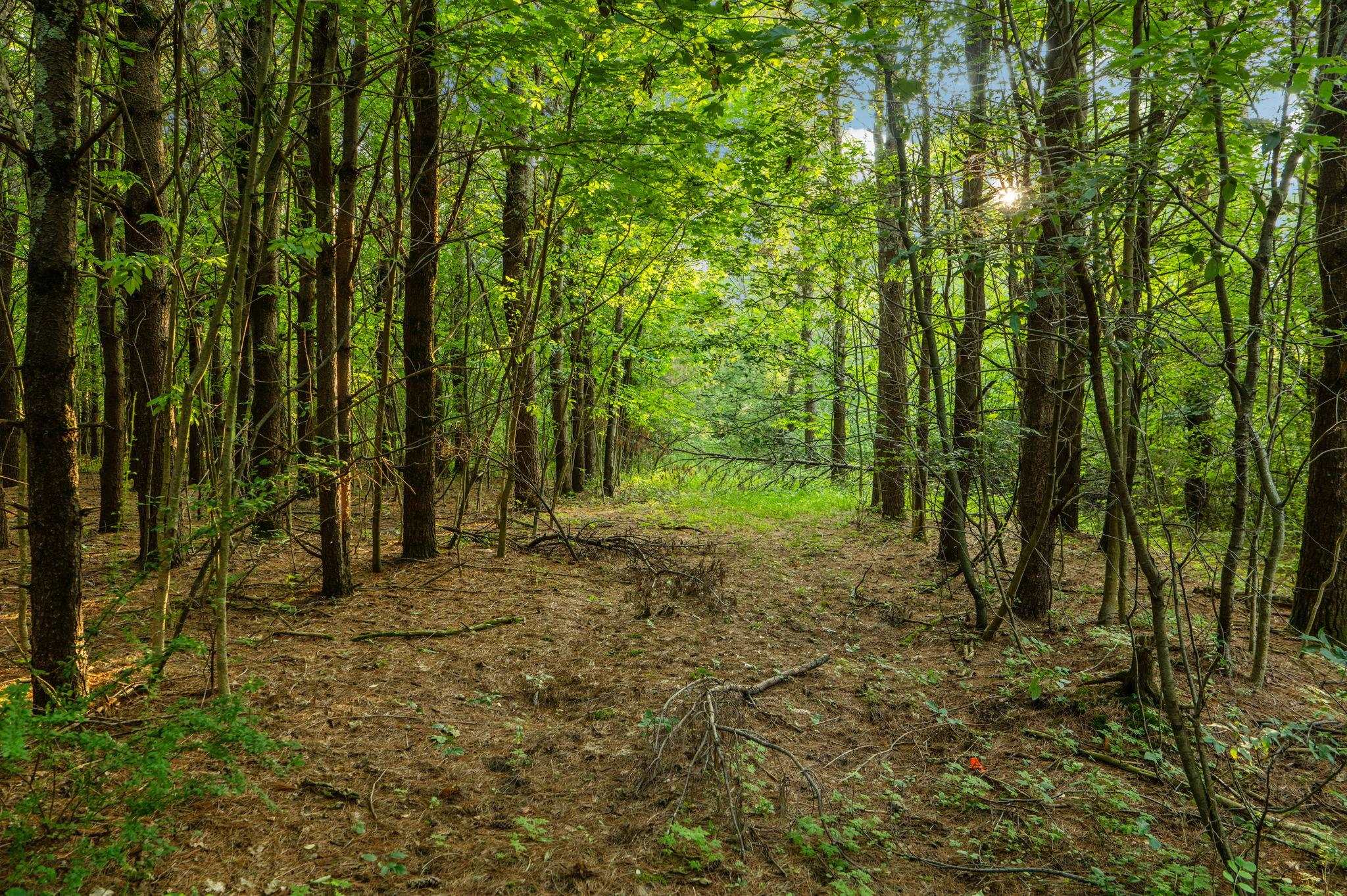 5th image of Parcel 13 N Vincer Wy, Northport, MI 49670 | MLS# 80071621