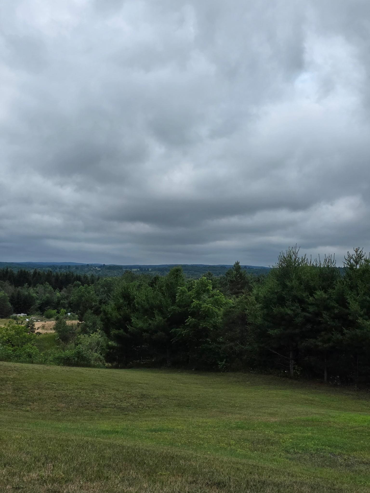 50th image of 6773 N 43 Rd, Manton, MI 49663 | MLS# 80071644
