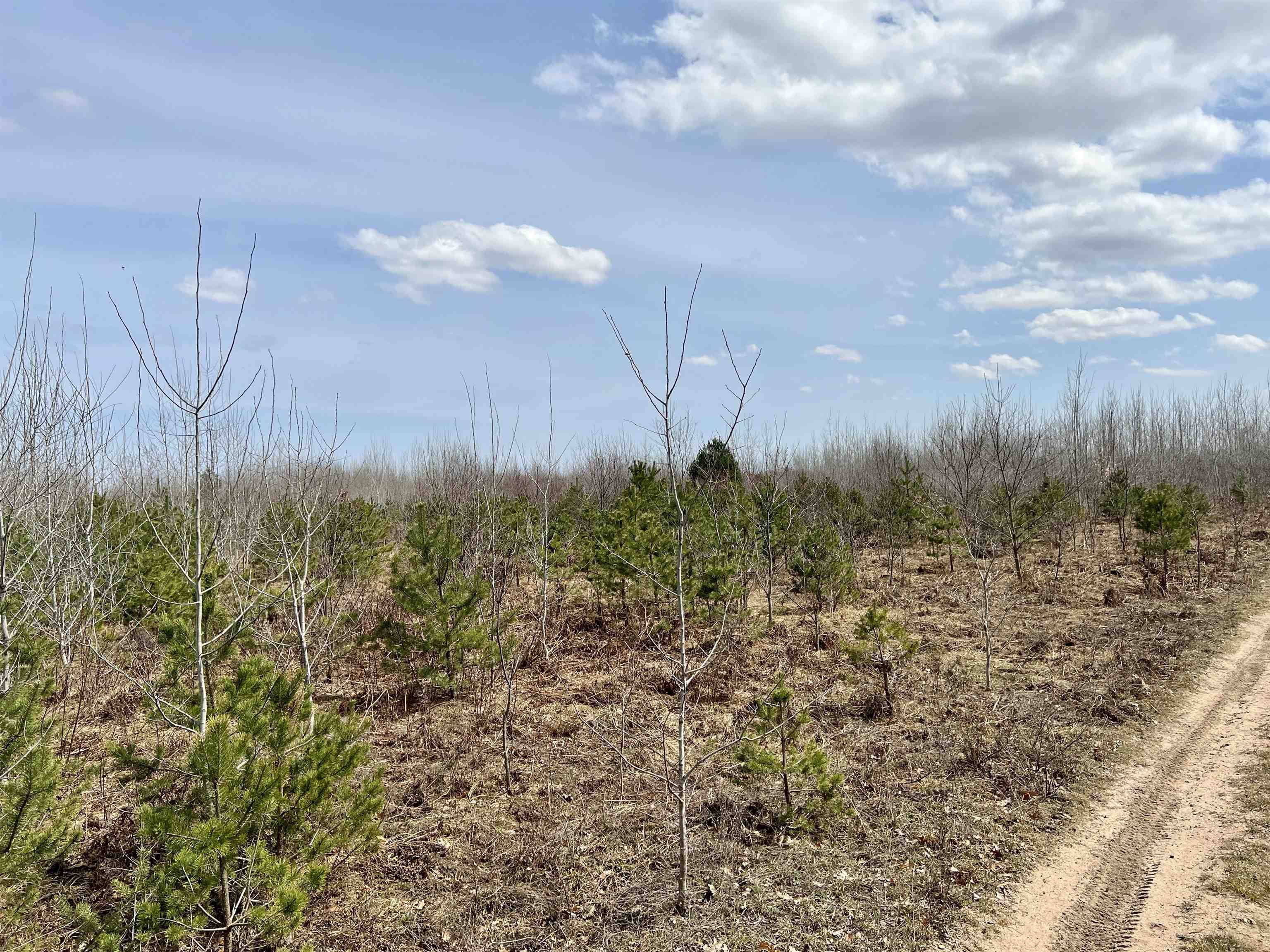 23rd image of 00 39 Rd, Cadillac, MI 49601 | MLS# 80071646