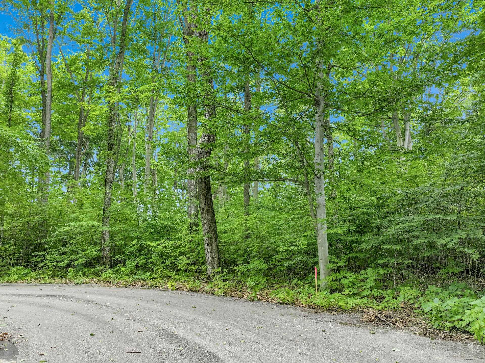 4th image of 5400 Wild Berry Trl, Traverse City, MI 49684 | MLS# 80071724