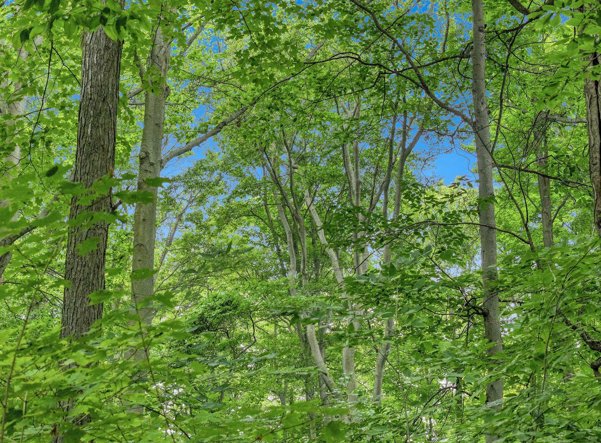 5th image of 5400 Wild Berry Trl, Traverse City, MI 49684 | MLS# 80071724