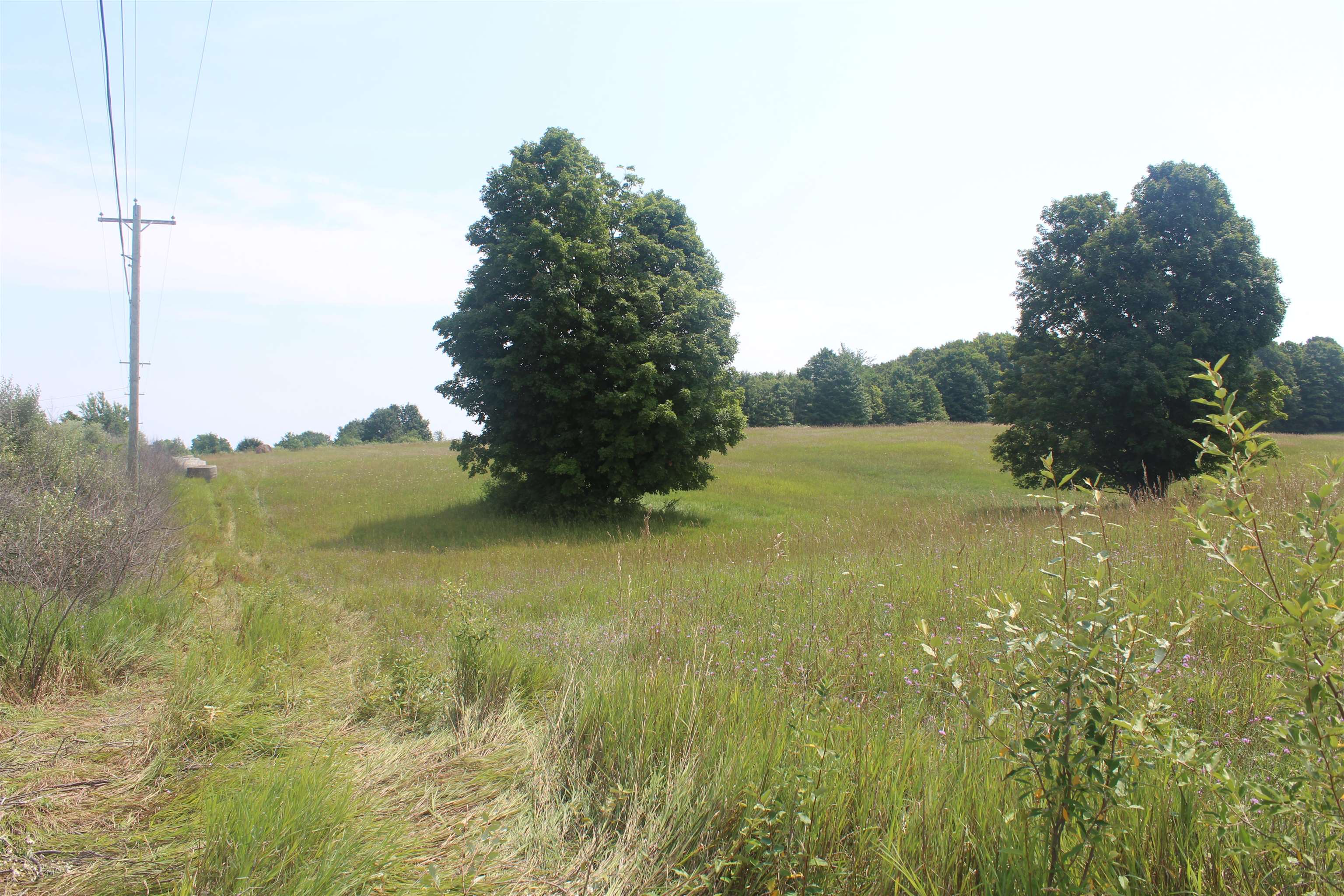 3rd image of 0 Barnes Rd, Kewadin, MI 49648 | MLS# 80071742