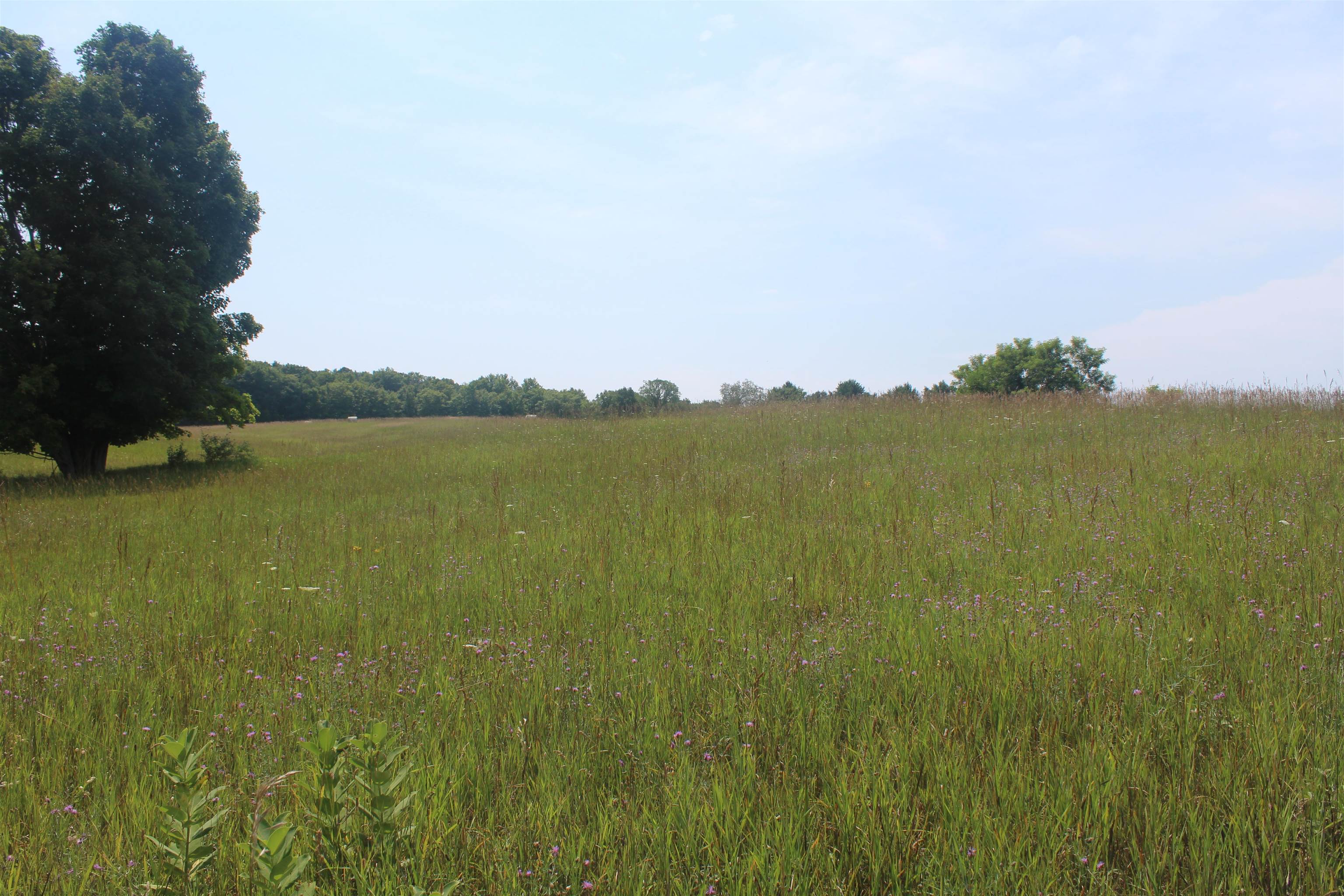 5th image of 0 Barnes Rd, Kewadin, MI 49648 | MLS# 80071742