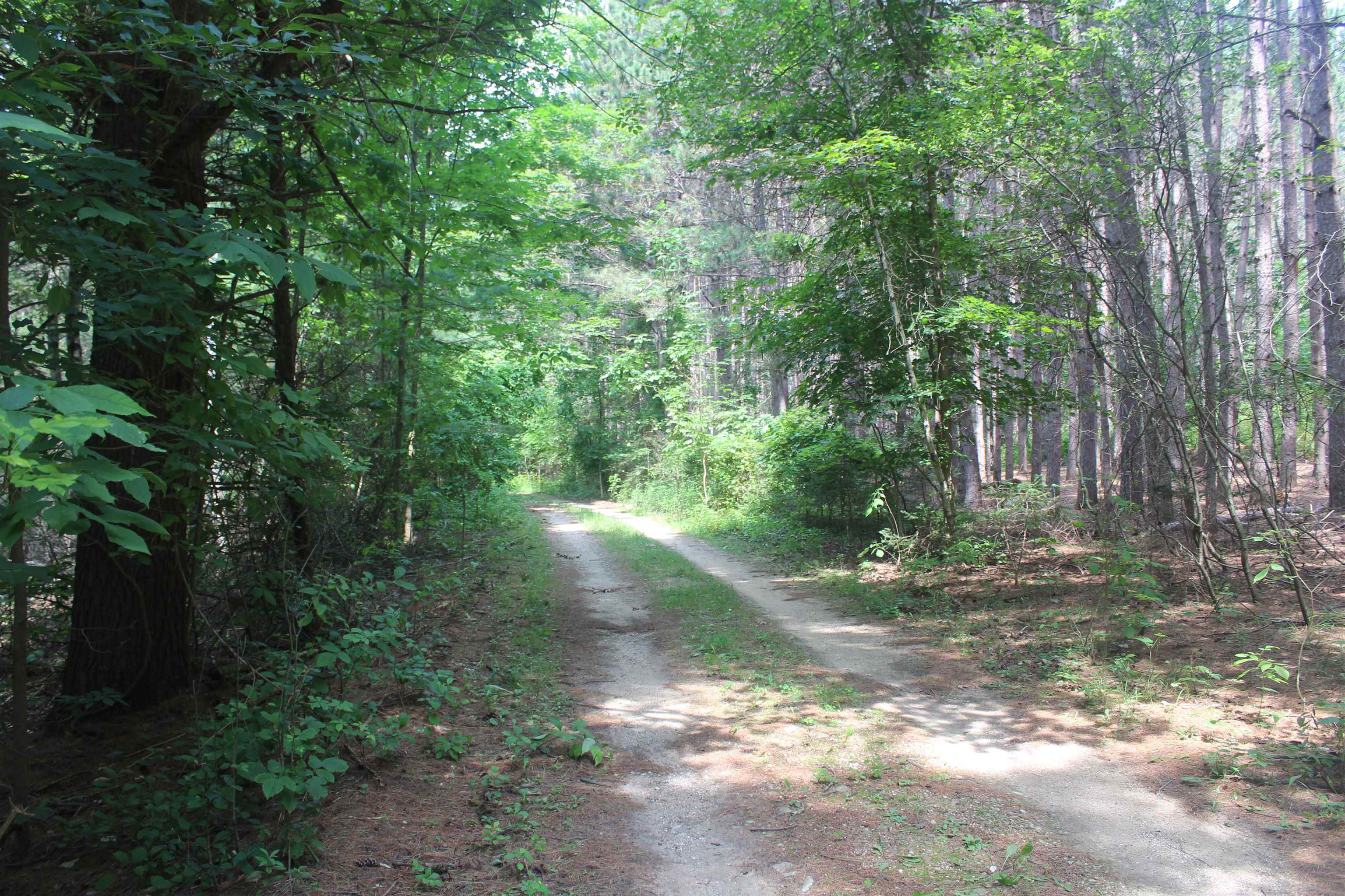 1st image of 0 Whitefish Trl, Kewadin, MI 49648 | MLS# 80071743