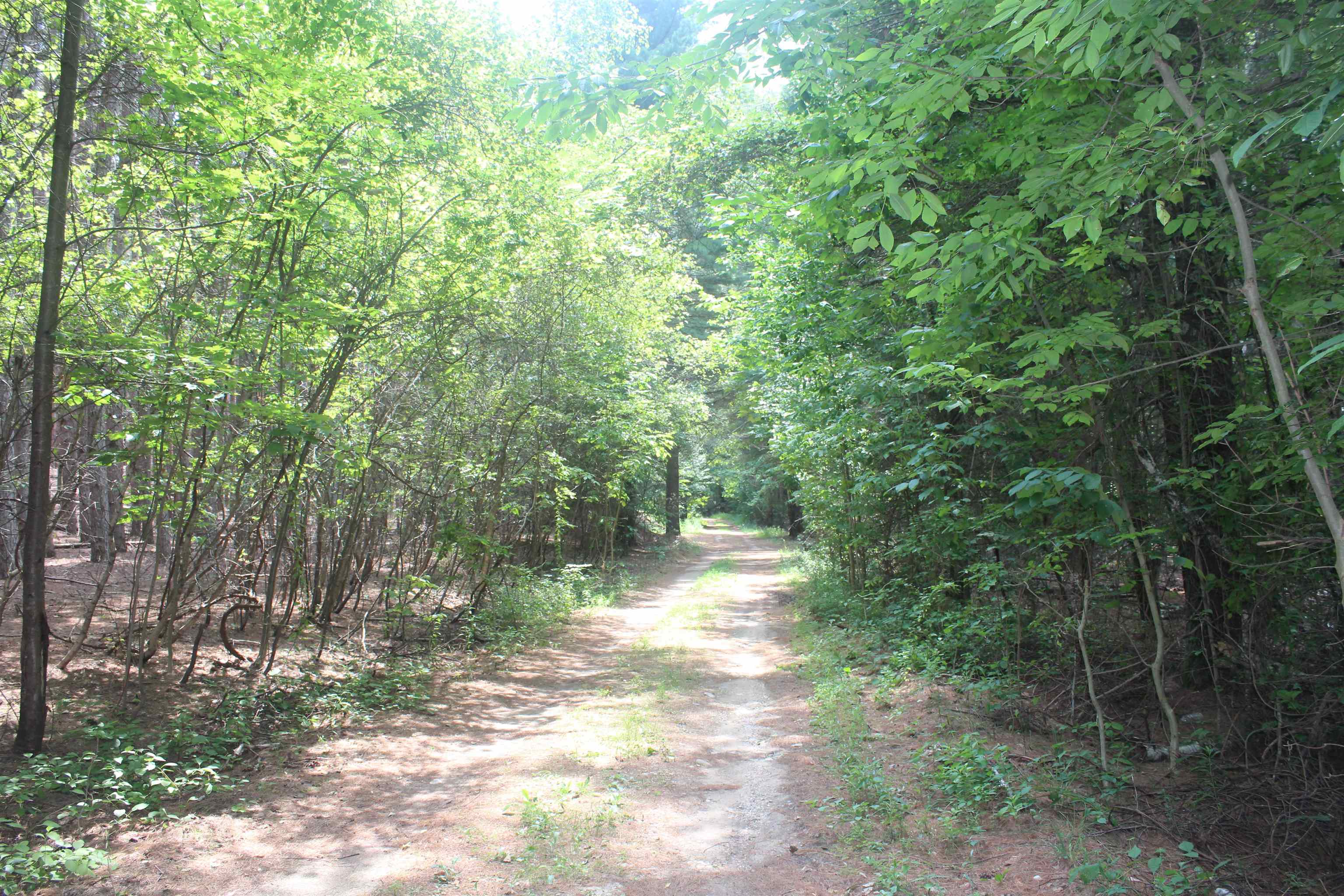 5th image of 0 Whitefish Trl, Kewadin, MI 49648 | MLS# 80071743