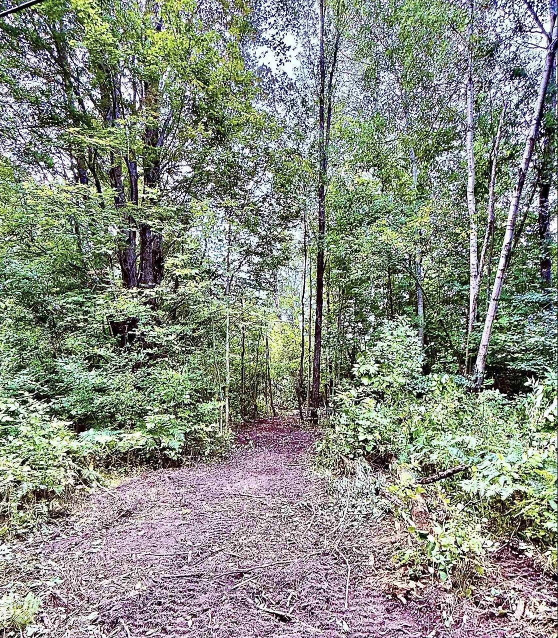2nd image of 6888 Bancroft Rd, Kingsley, MI 49649 | MLS# 80071744