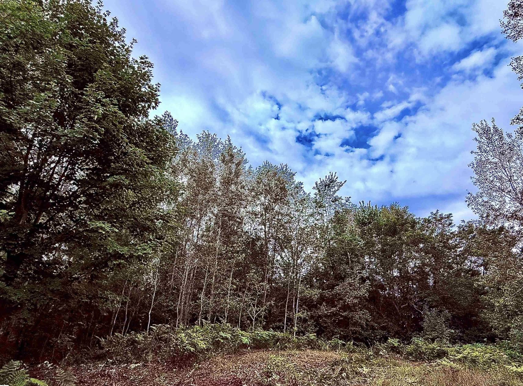 3rd image of 6888 Bancroft Rd, Kingsley, MI 49649 | MLS# 80071744