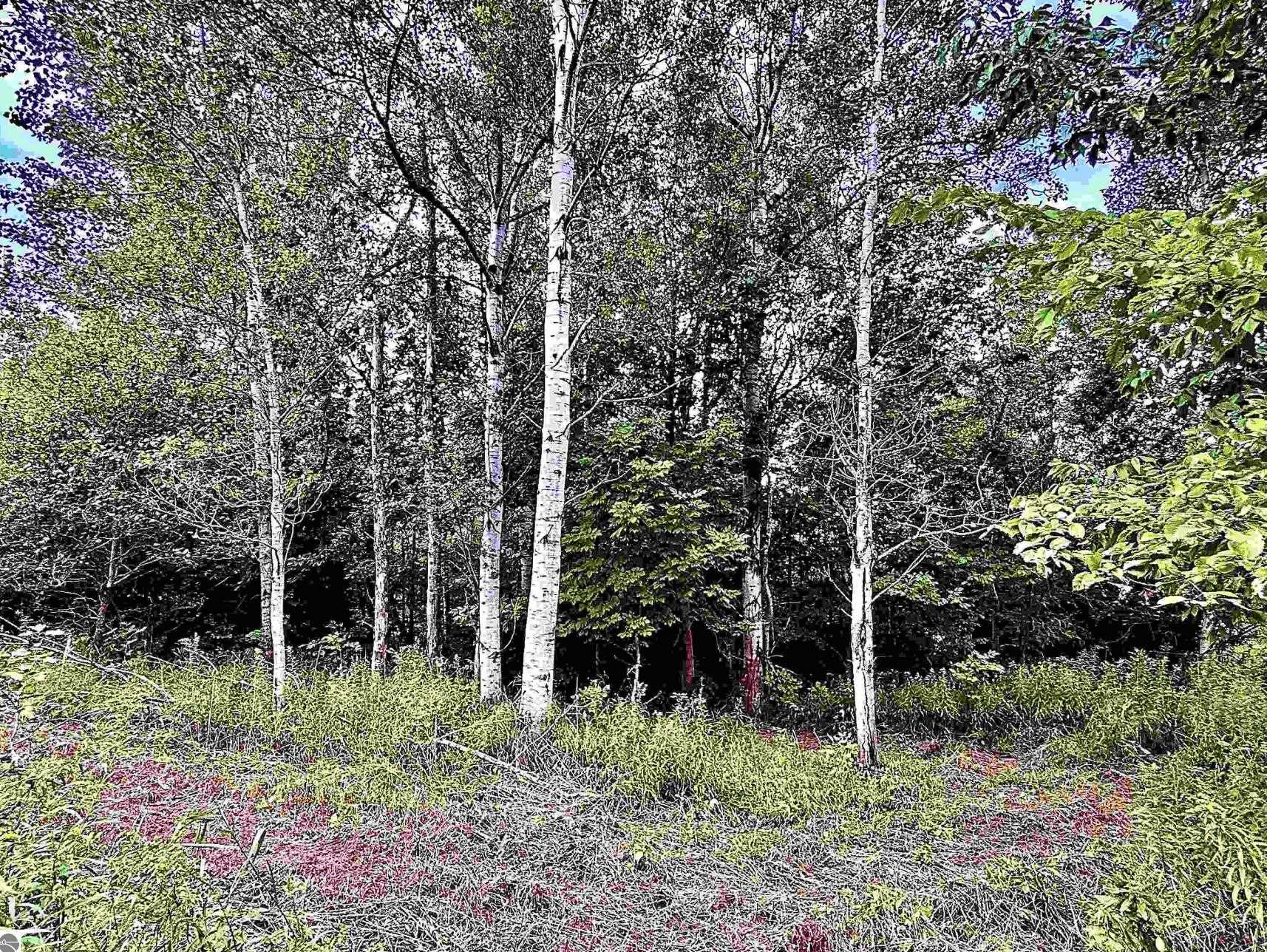 4th image of 6888 Bancroft Rd, Kingsley, MI 49649 | MLS# 80071744
