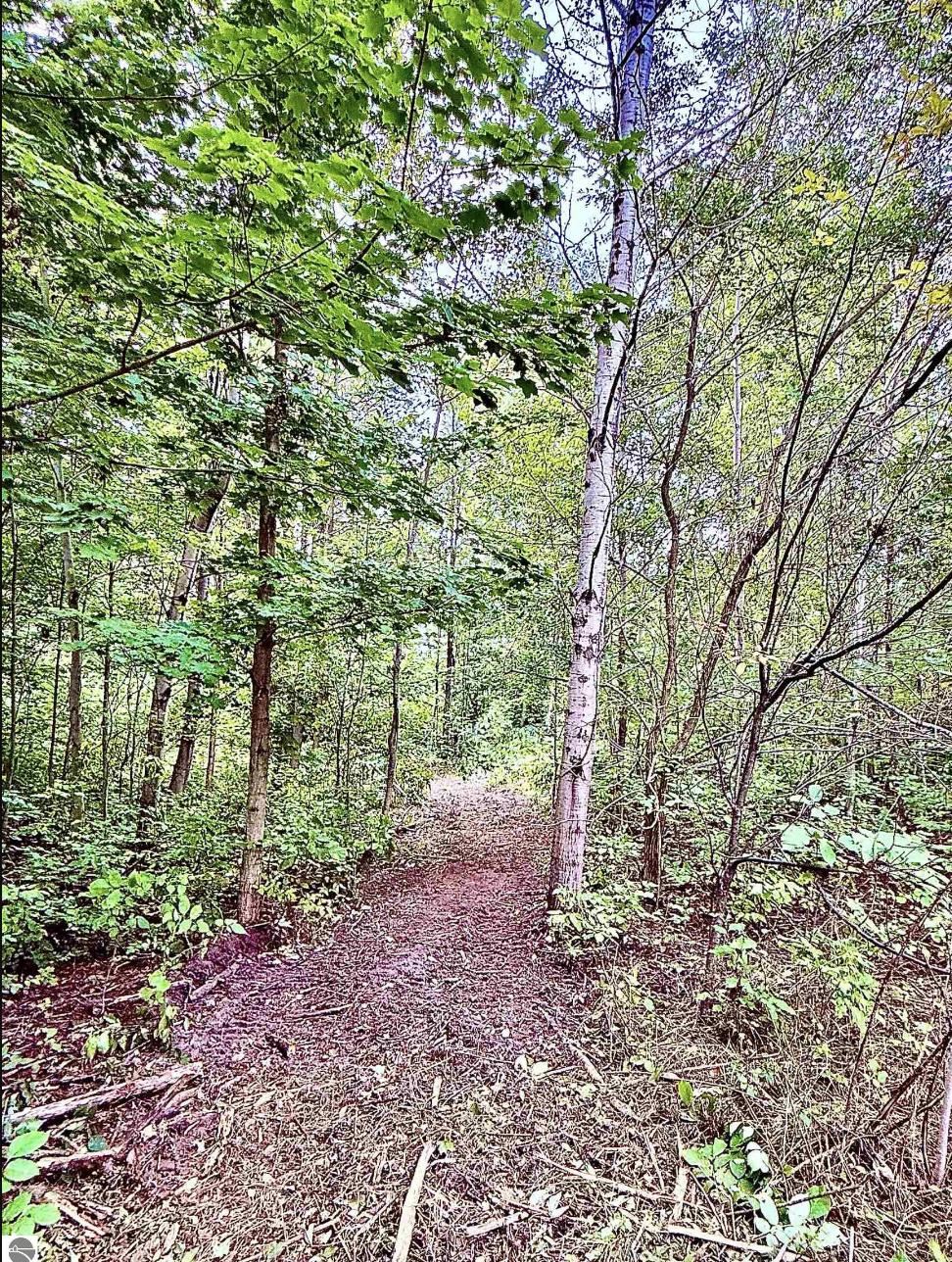 5th image of 6888 Bancroft Rd, Kingsley, MI 49649 | MLS# 80071744