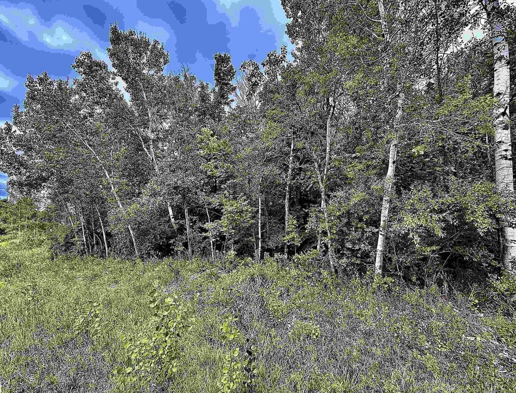 7th image of 6888 Bancroft Rd, Kingsley, MI 49649 | MLS# 80071744