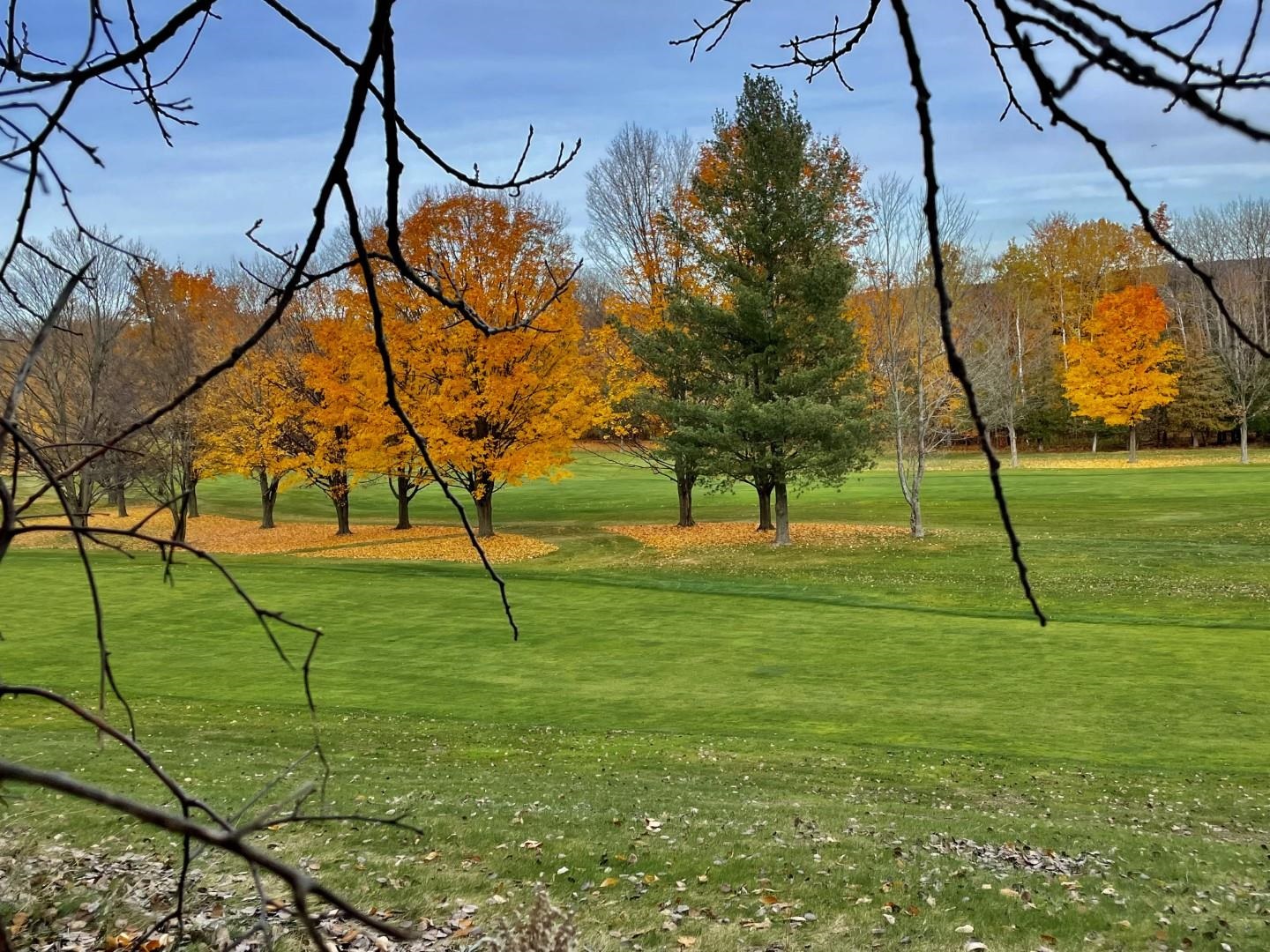 1st image of 000 Lakeview Trl, Kewadin, MI 49648 | MLS# 80071783