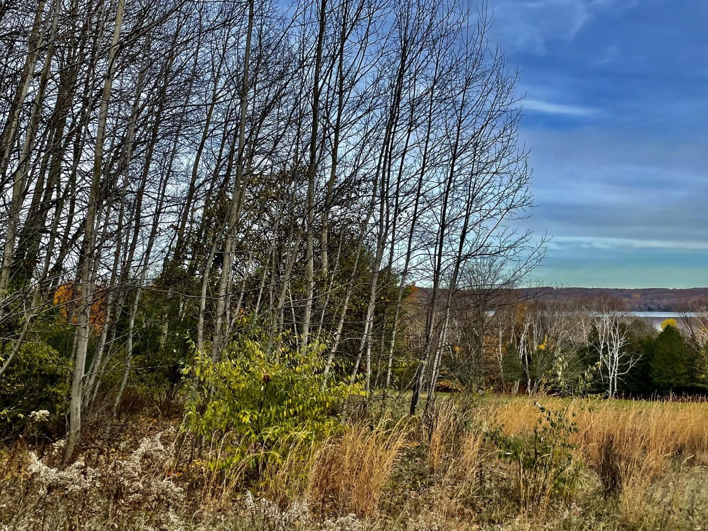 40th image of 000 Lakeview Trl, Kewadin, MI 49648 | MLS# 80071783