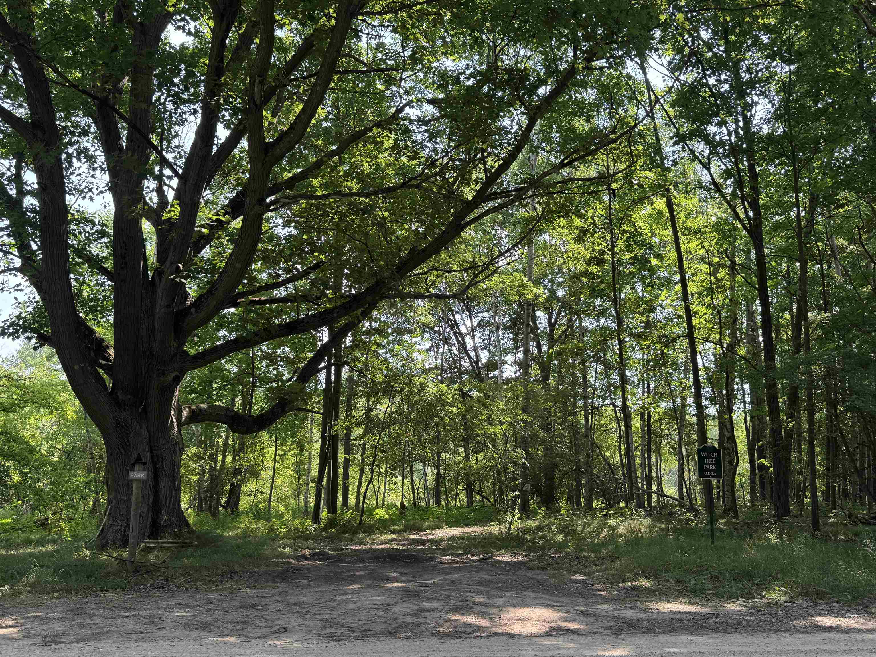 25th image of 7645 Windoga Lake Dr, Weidman, MI 48893 | MLS# 80071791