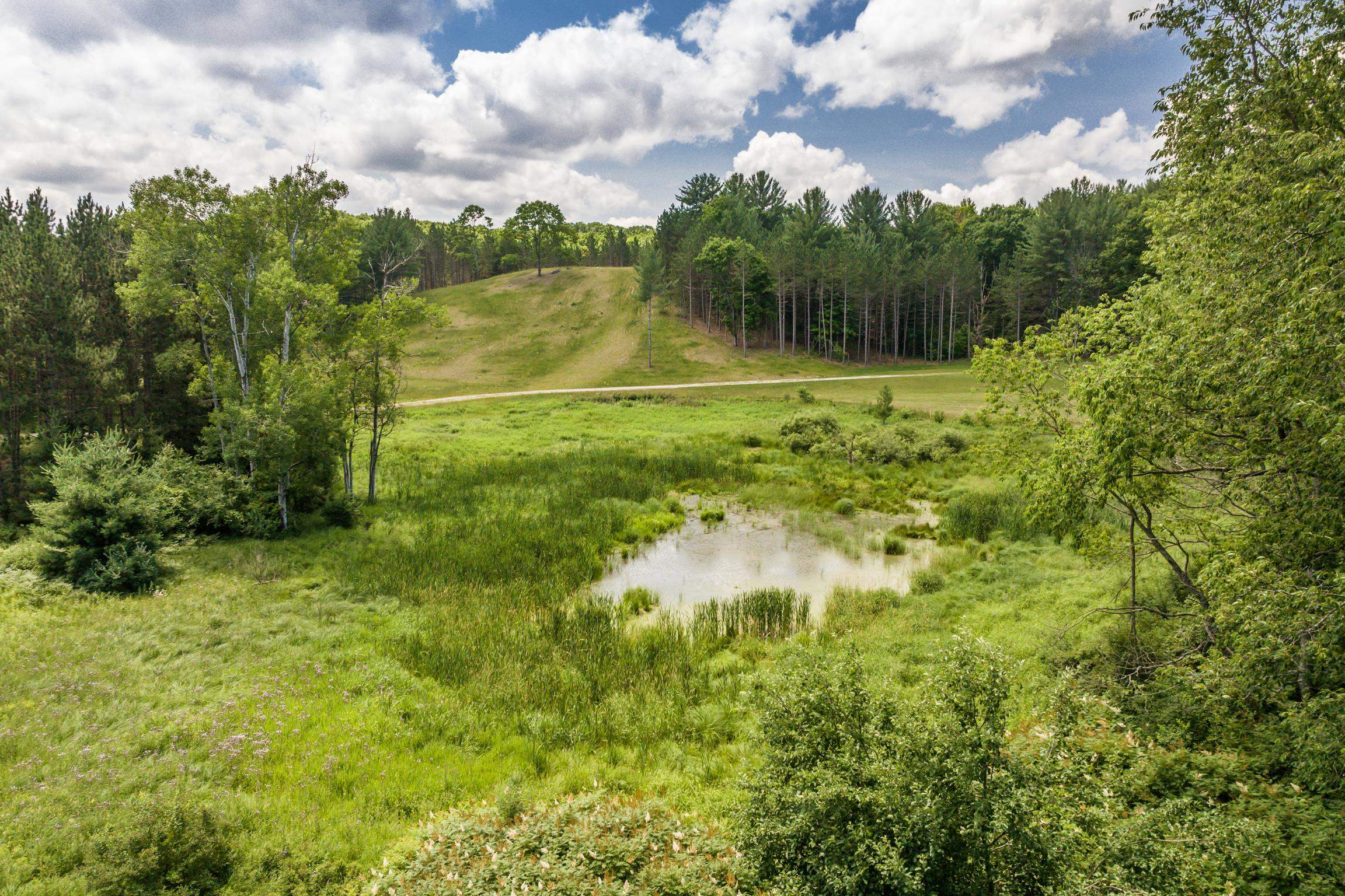 15th image of (Undisclosed), Williamsburg, MI 49690 | MLS# 80071797