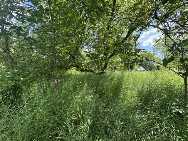 36th image of 2179 Conrad Rd, Standish, MI 48658 | MLS# 80071801