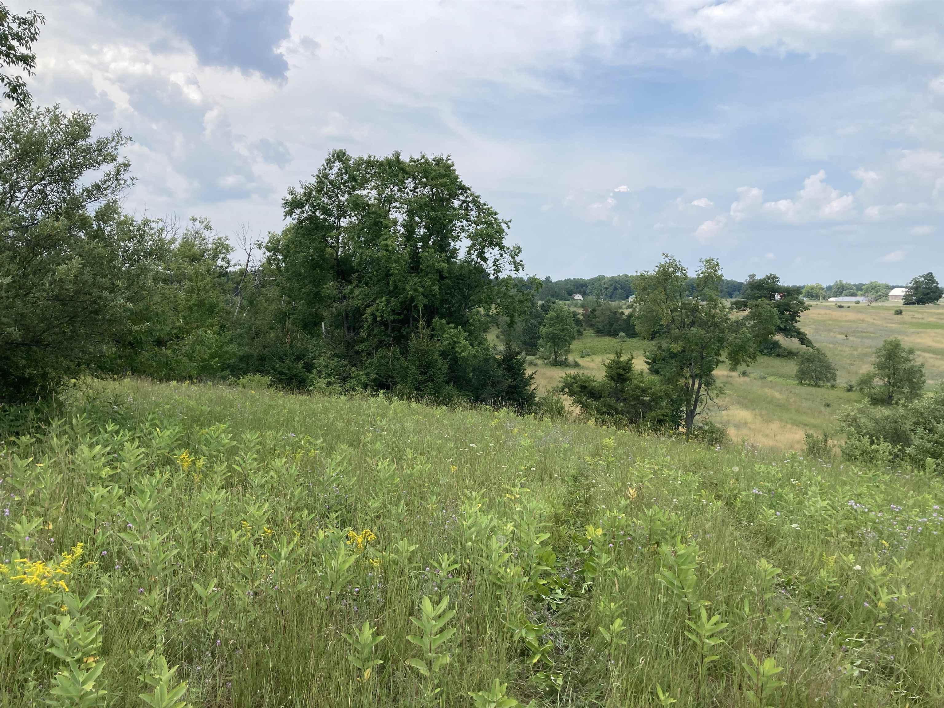 1st image of V/l 20a M/l Mayhew Rd, Rose City, MI 48654 | MLS# 80071802