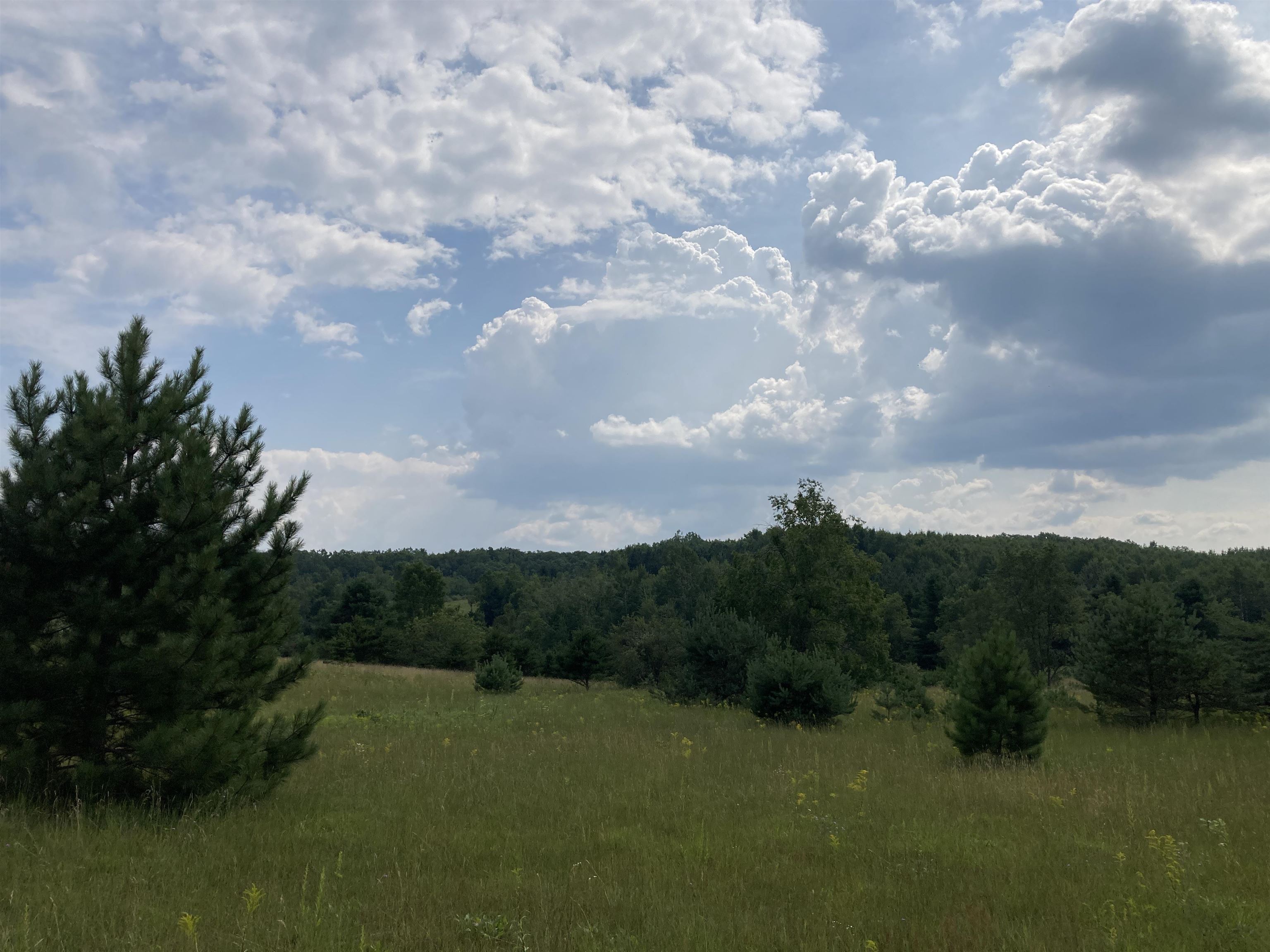 2nd image of V/l 20a M/l Mayhew Rd, Rose City, MI 48654 | MLS# 80071802