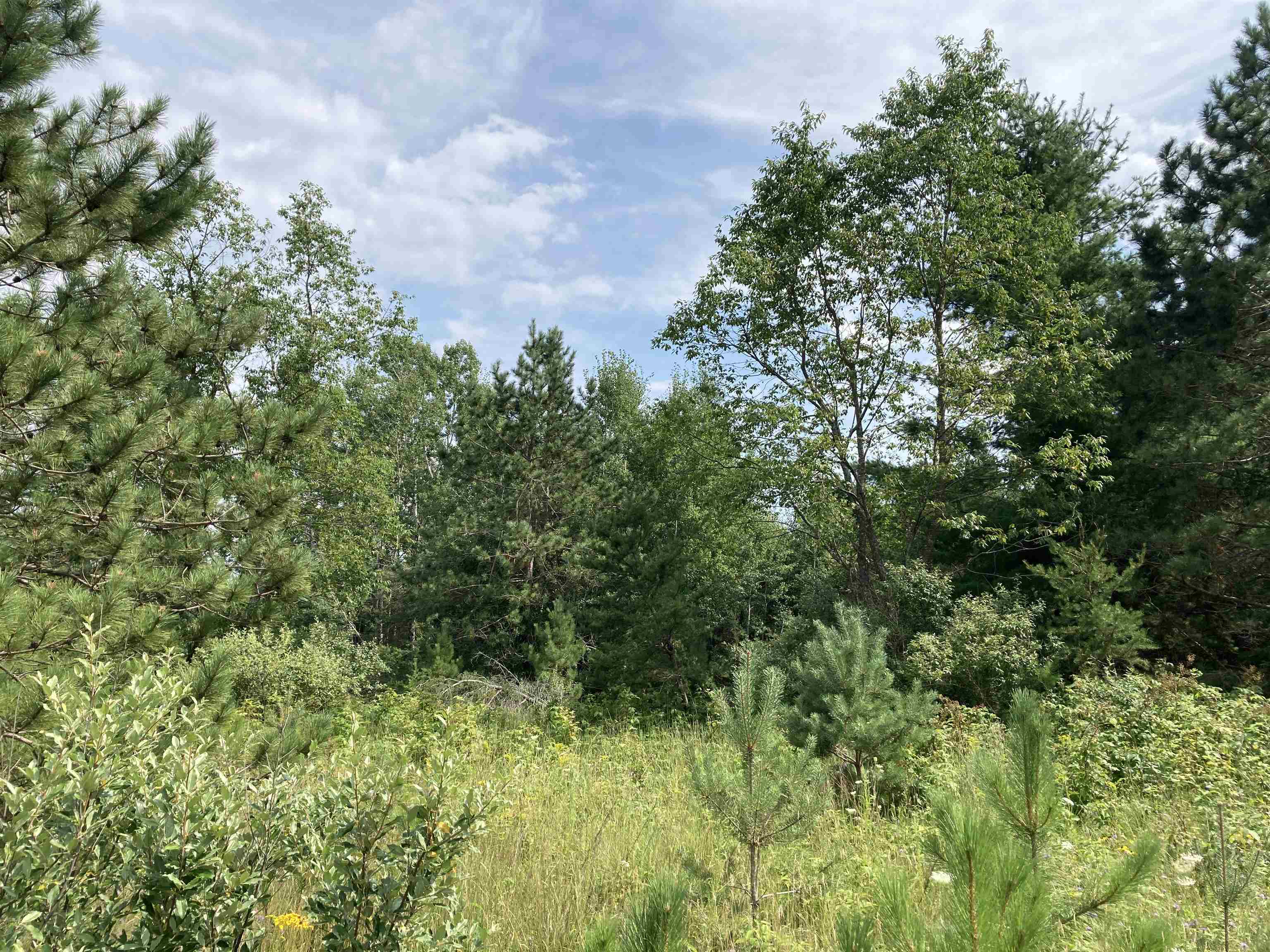 4th image of V/L-20A-M/L Mayhew Rd, Rose City, MI 48654 | MLS# 80071802