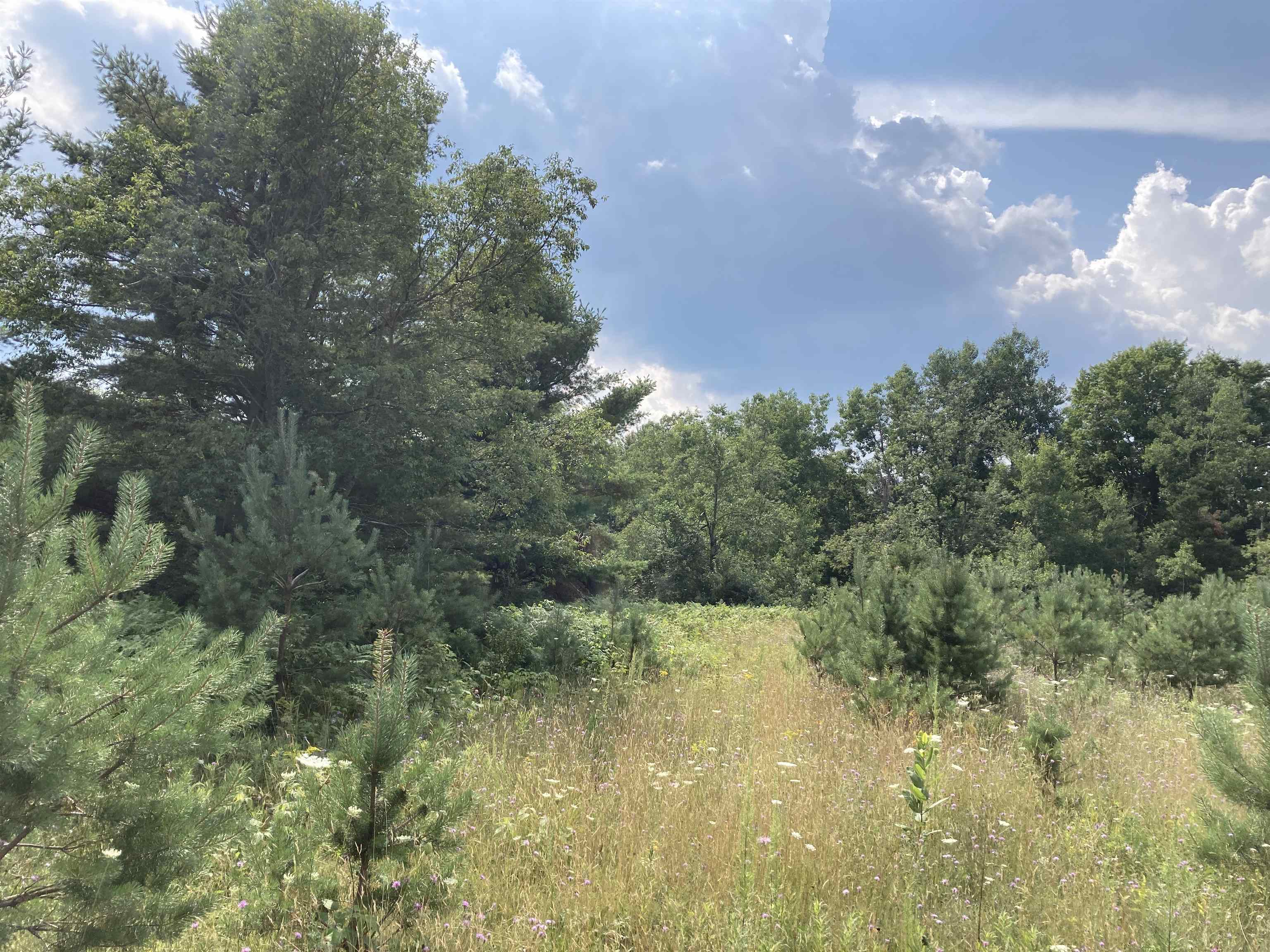 5th image of V/L-20A-M/L Mayhew Rd, Rose City, MI 48654 | MLS# 80071802