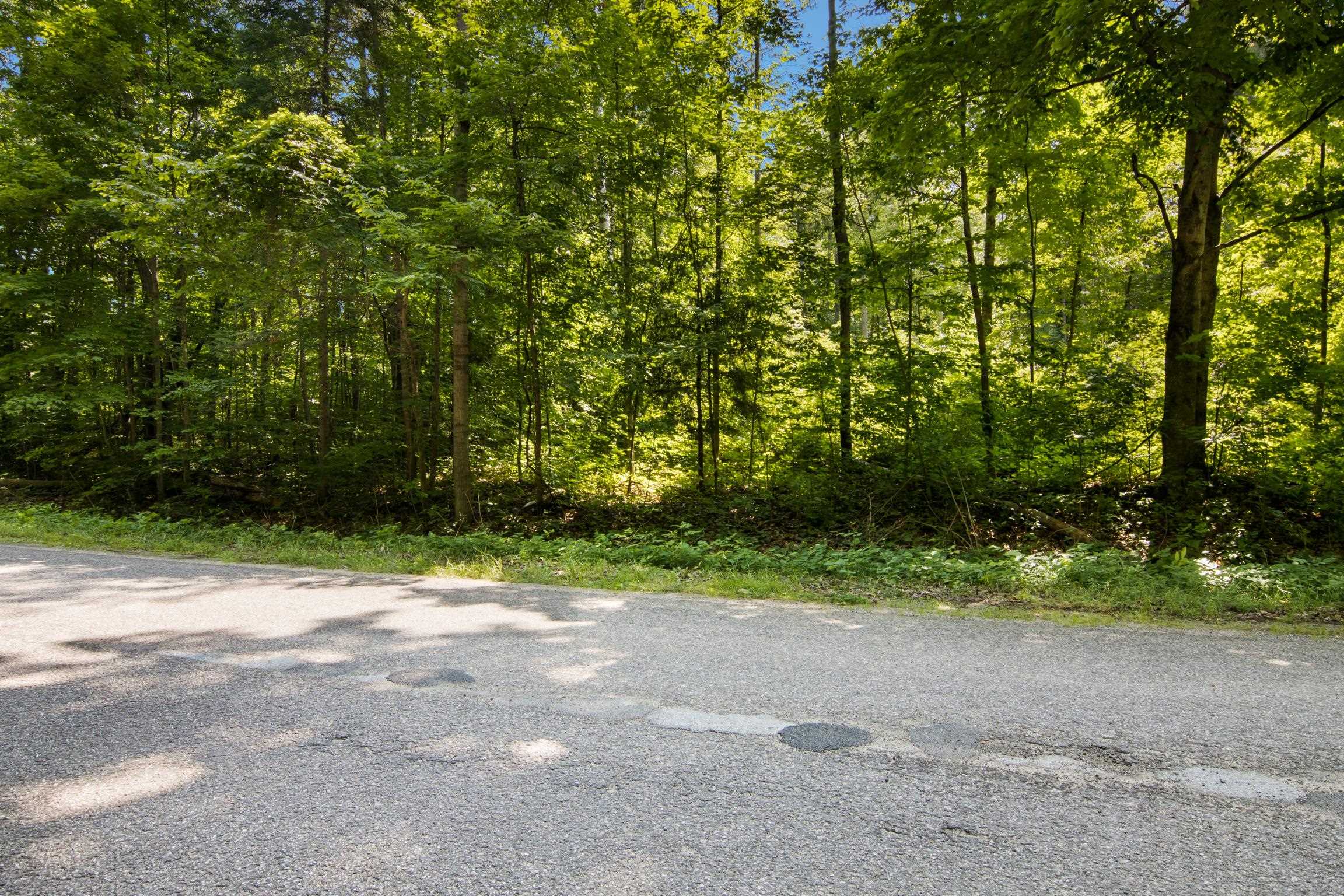 4th image of V/L Lake Of The Woods Rd, Bellaire, MI 49615 | MLS# 80071830