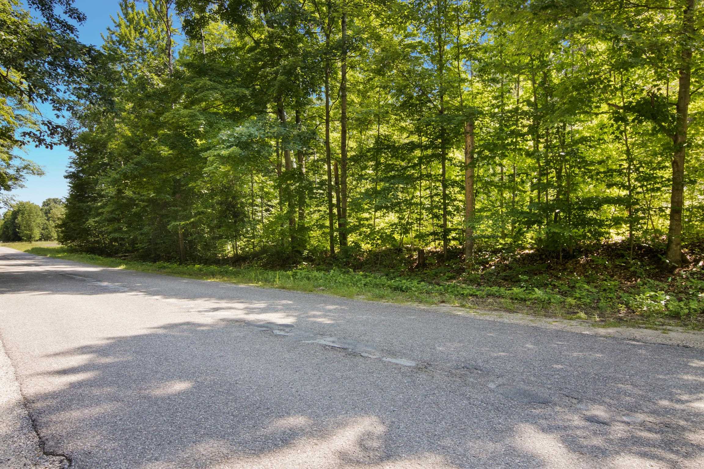 5th image of V/L Lake Of The Woods Rd, Bellaire, MI 49615 | MLS# 80071830