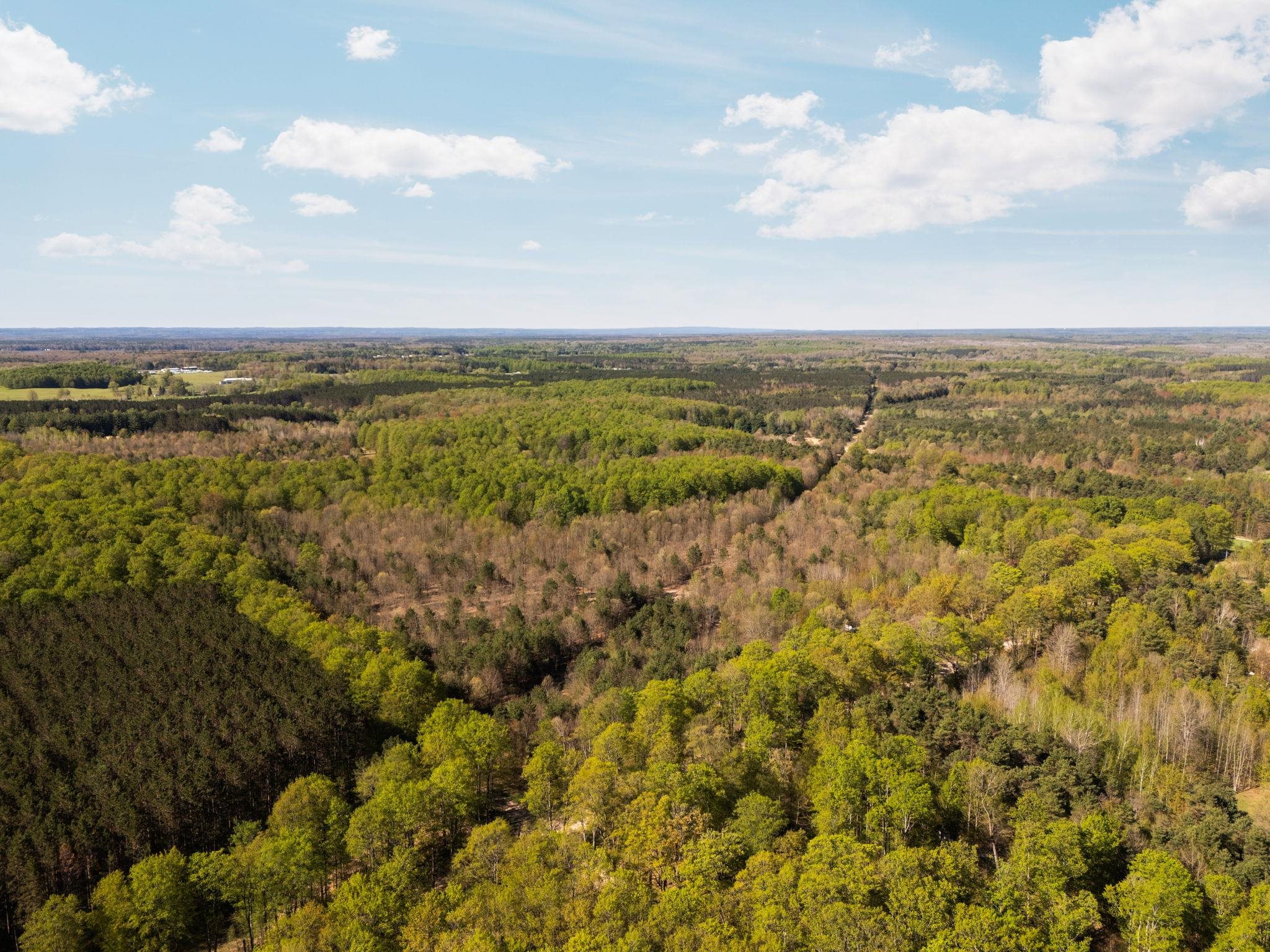 1st image of 11886 Cedar Creek Rd, Fife Lake, MI 49633 | MLS# 80071831