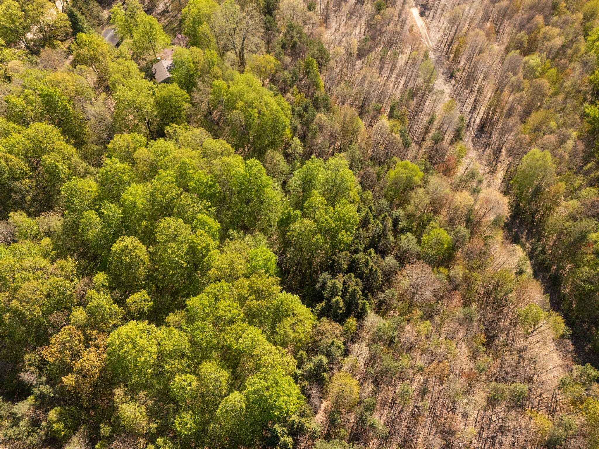 5th image of 11886 Cedar Creek Rd, Fife Lake, MI 49633 | MLS# 80071831