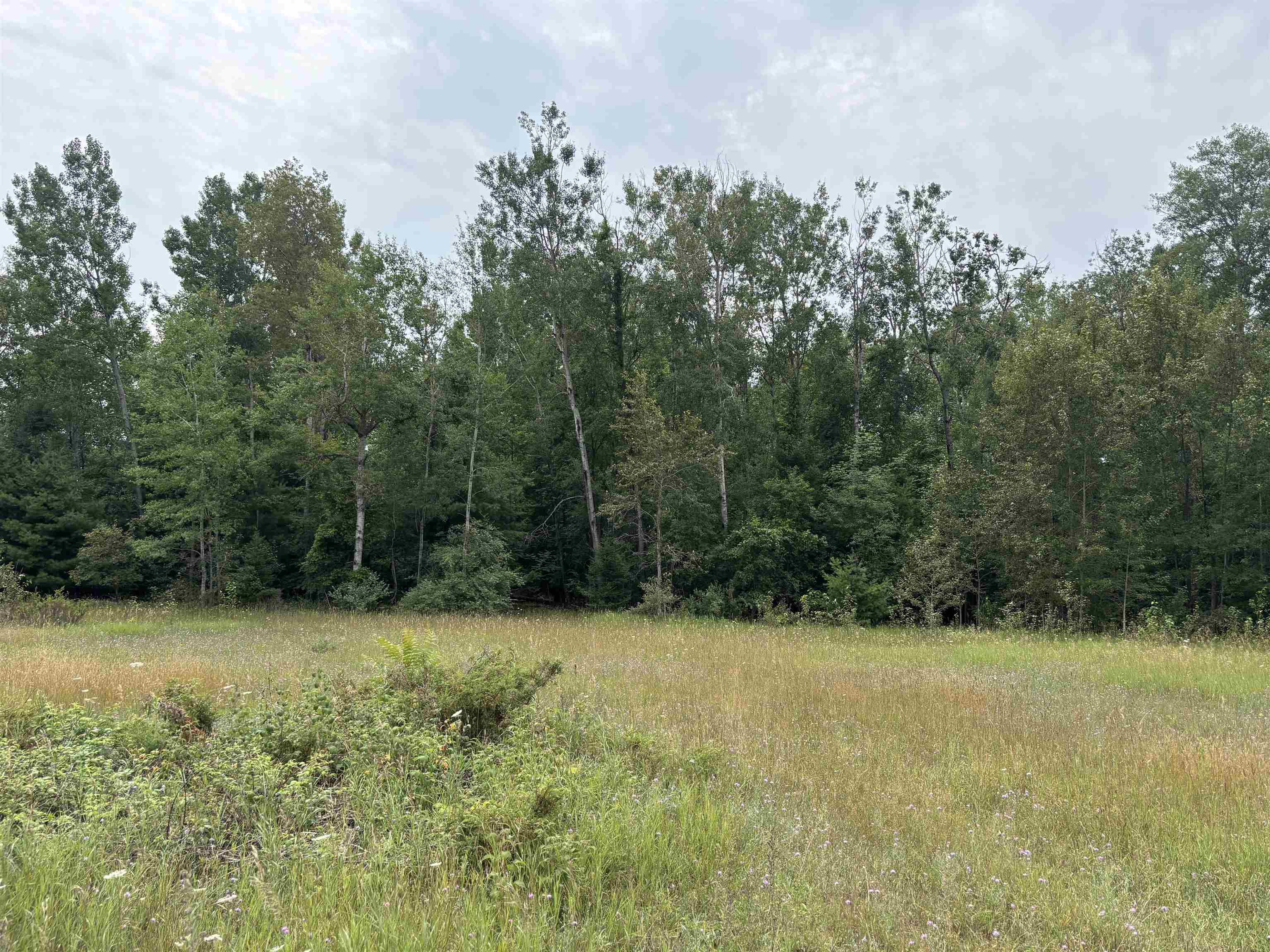 2nd image of 0 Lore Rd, Central Lake, MI 49622 | MLS# 80071858