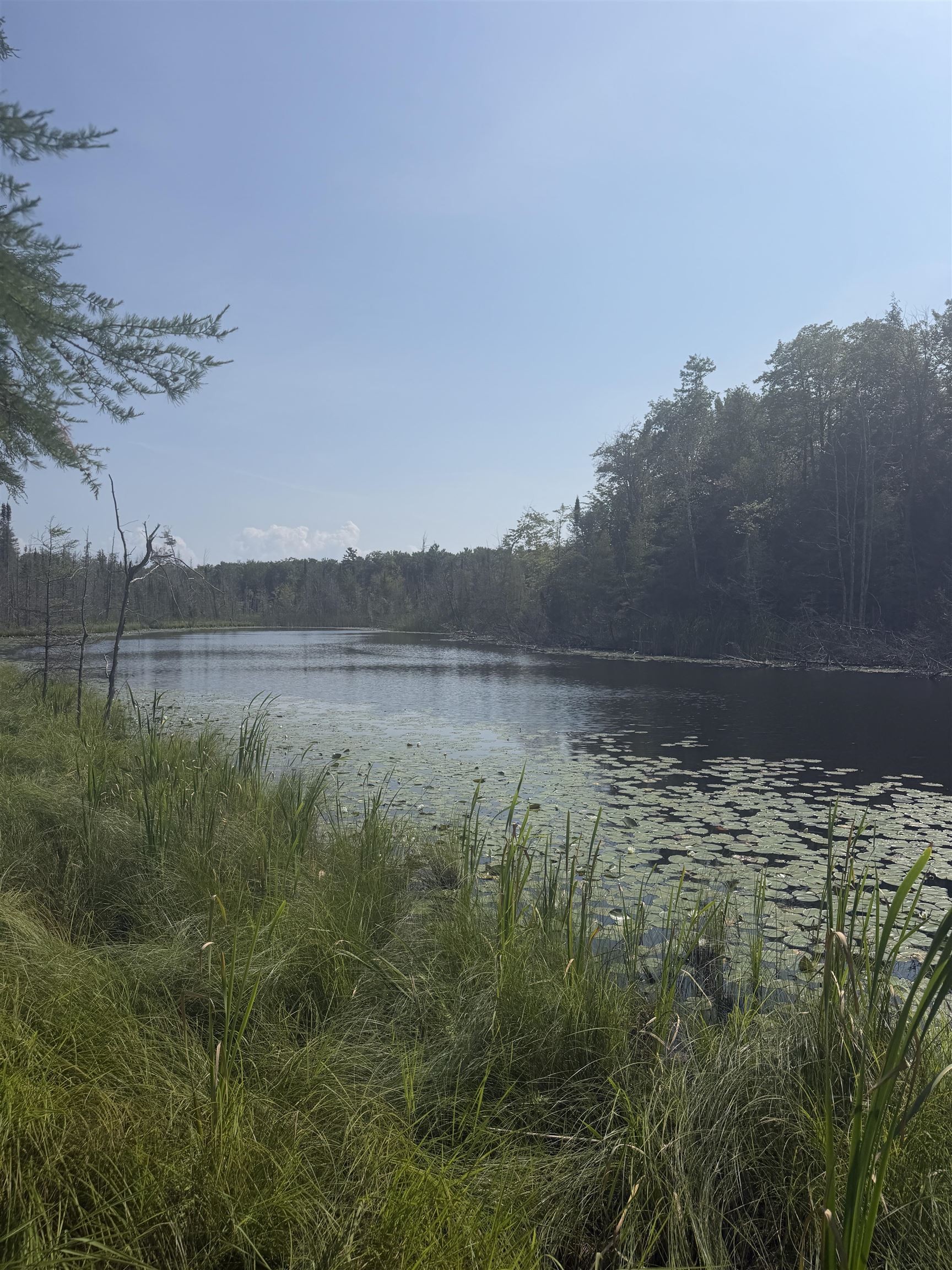 3rd image of 0 Lore Rd, Central Lake, MI 49622 | MLS# 80071858
