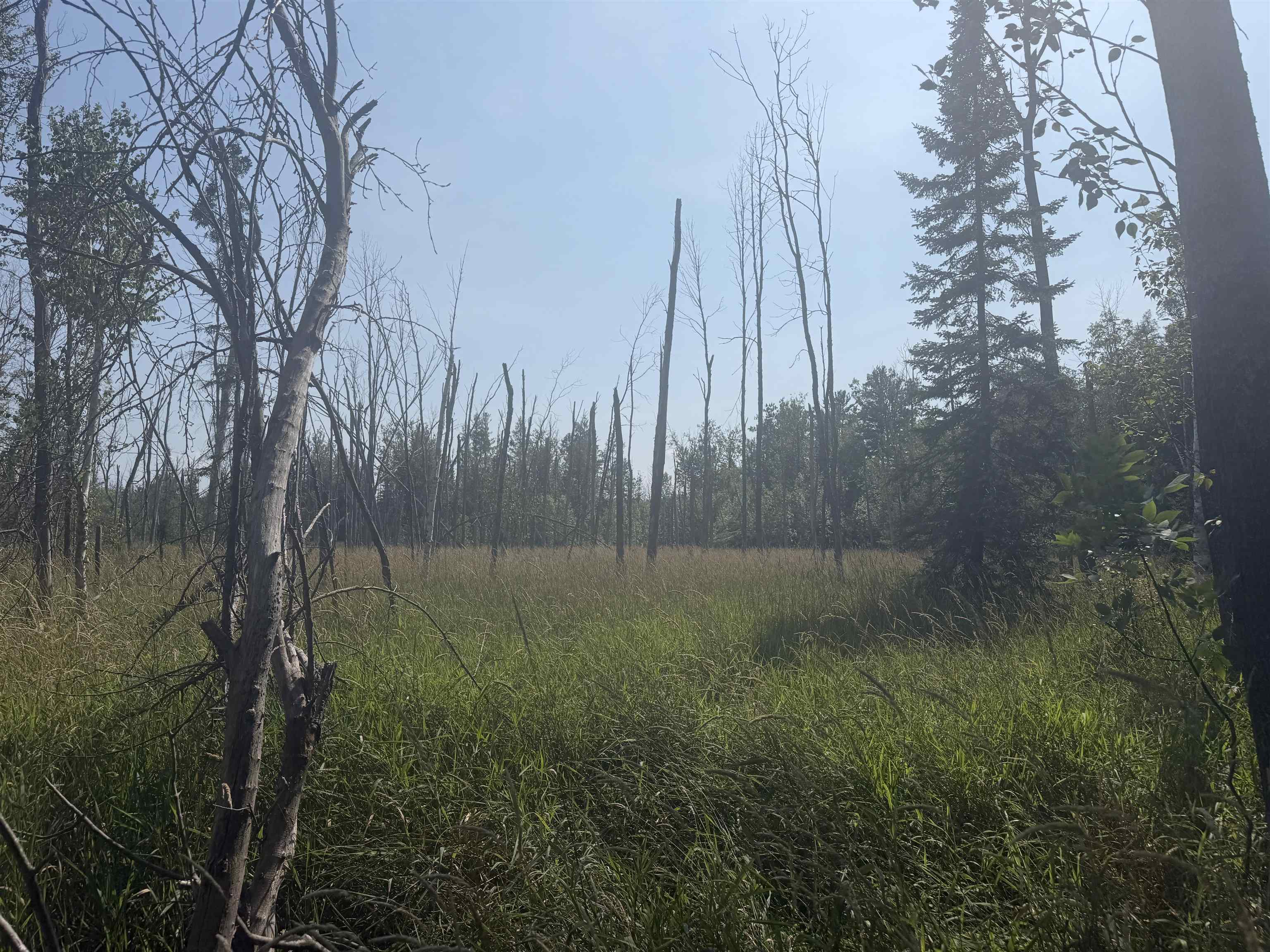 28th image of 0 Lore Rd, Central Lake, MI 49622 | MLS# 80071858