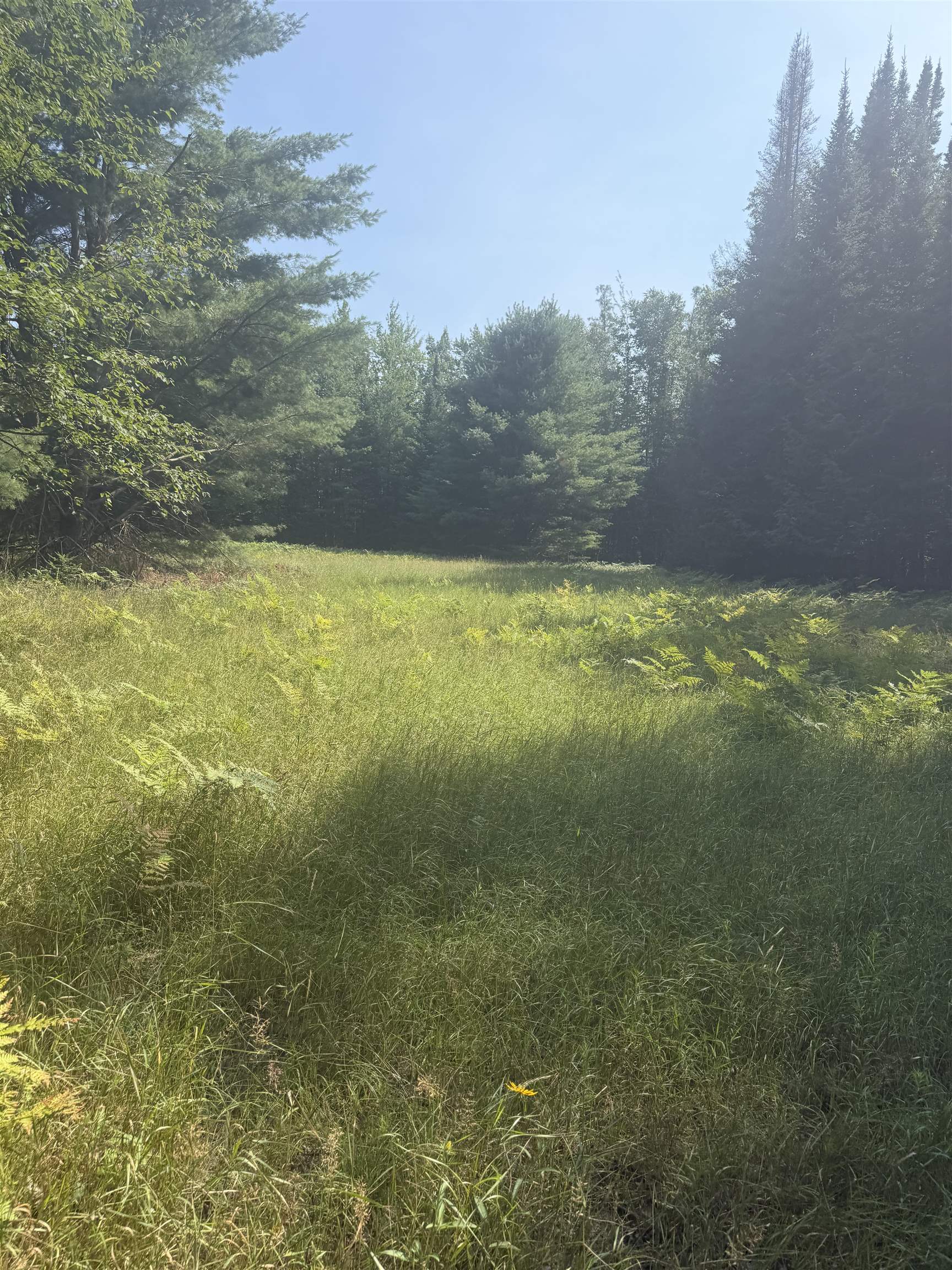 4th image of 0 Lore Rd, Central Lake, MI 49622 | MLS# 80071858
