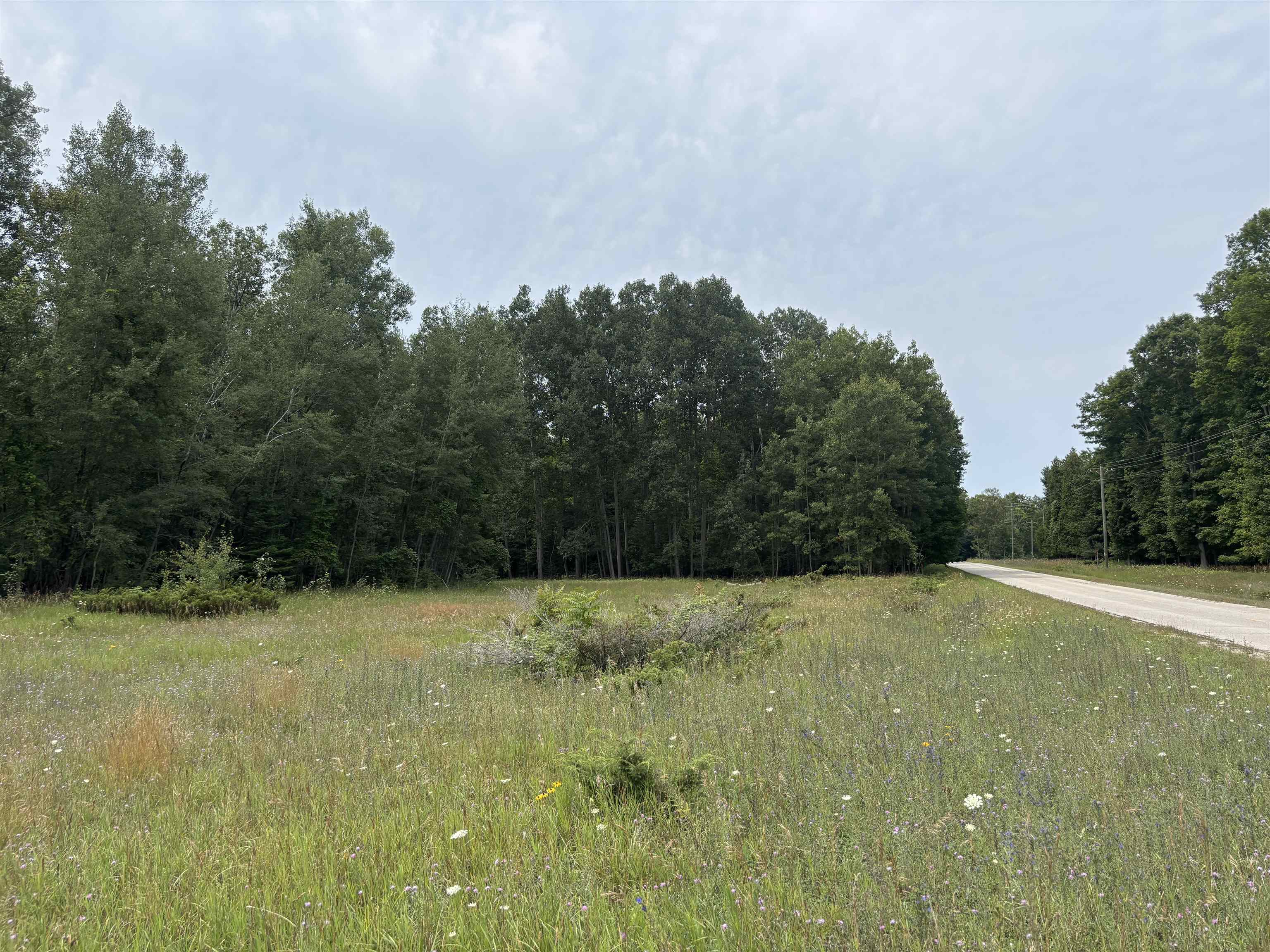 5th image of 0 Lore Rd, Central Lake, MI 49622 | MLS# 80071858