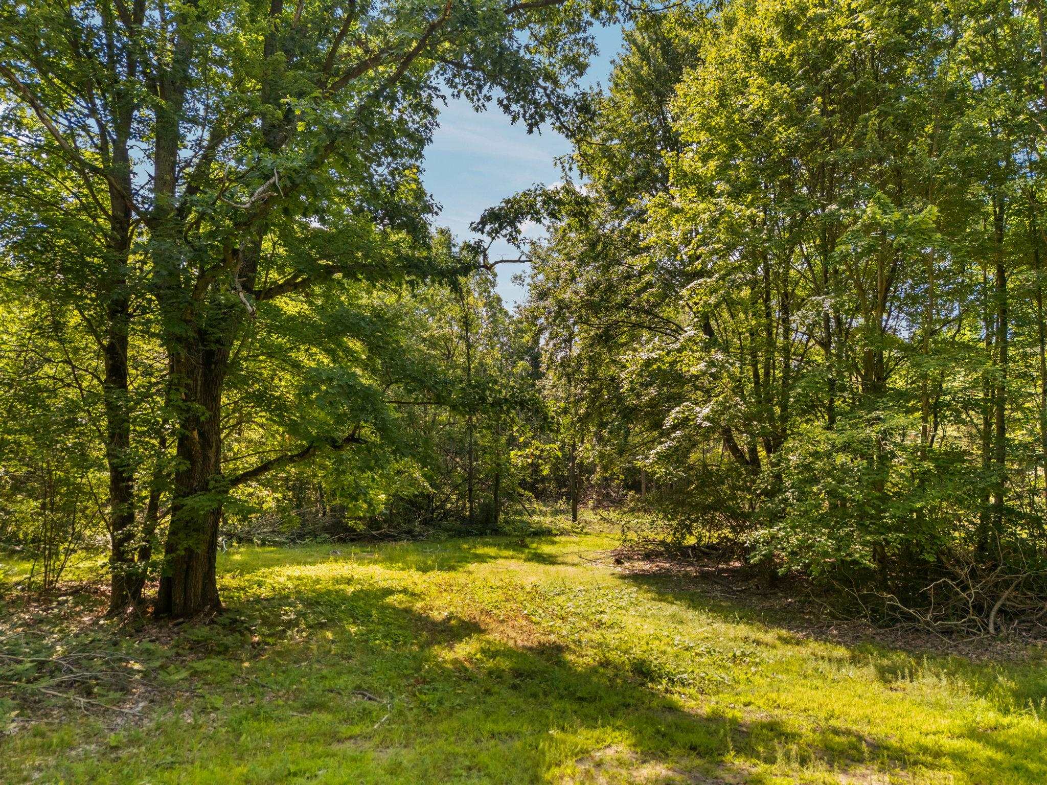 42nd image of 18150 Stronach Dam Rd, Wellston, MI 49689 | MLS# 80071866