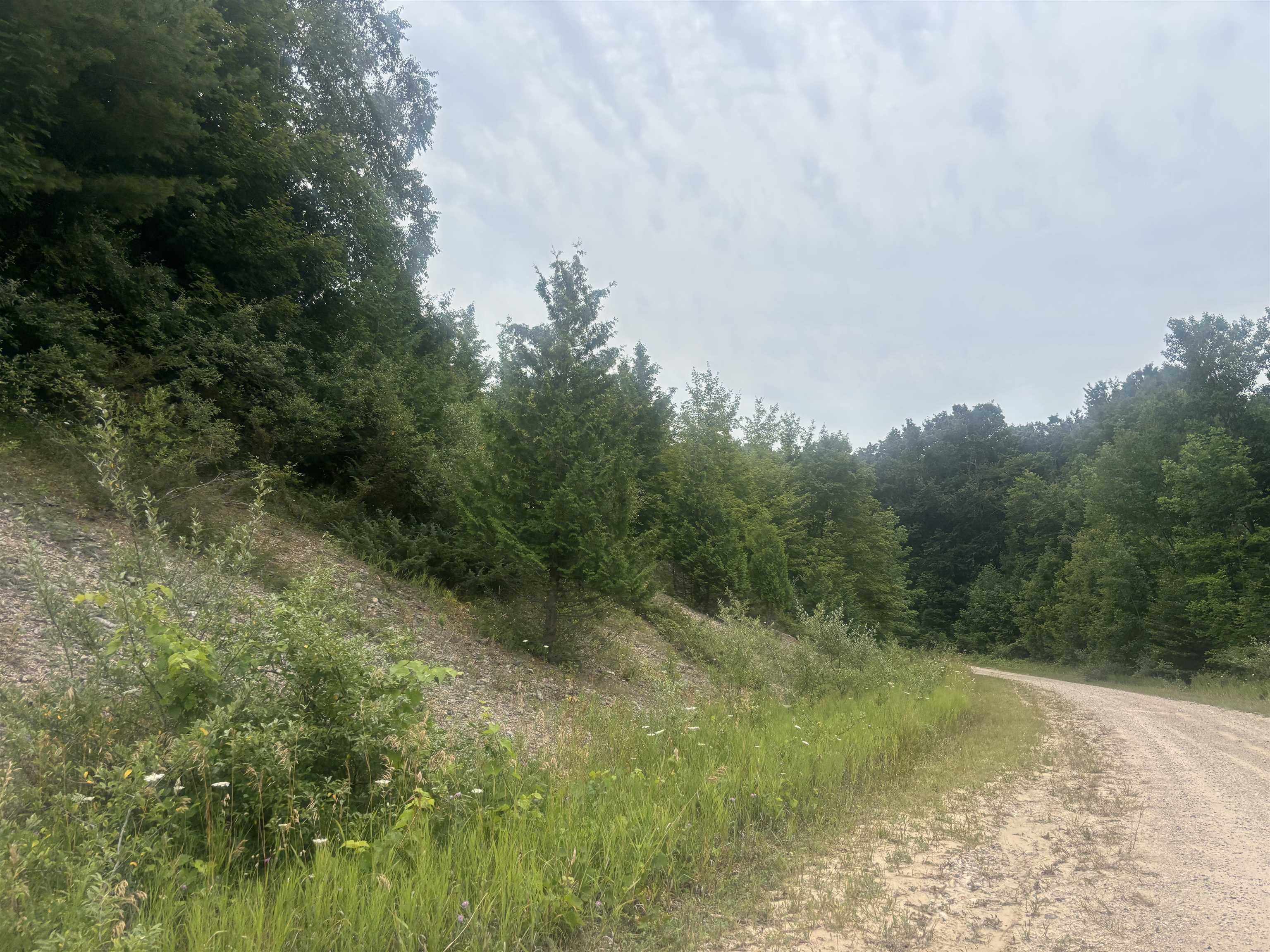 14th image of 00 Antrim Dells Rd, Ellsworth, MI 49729 | MLS# 80071868