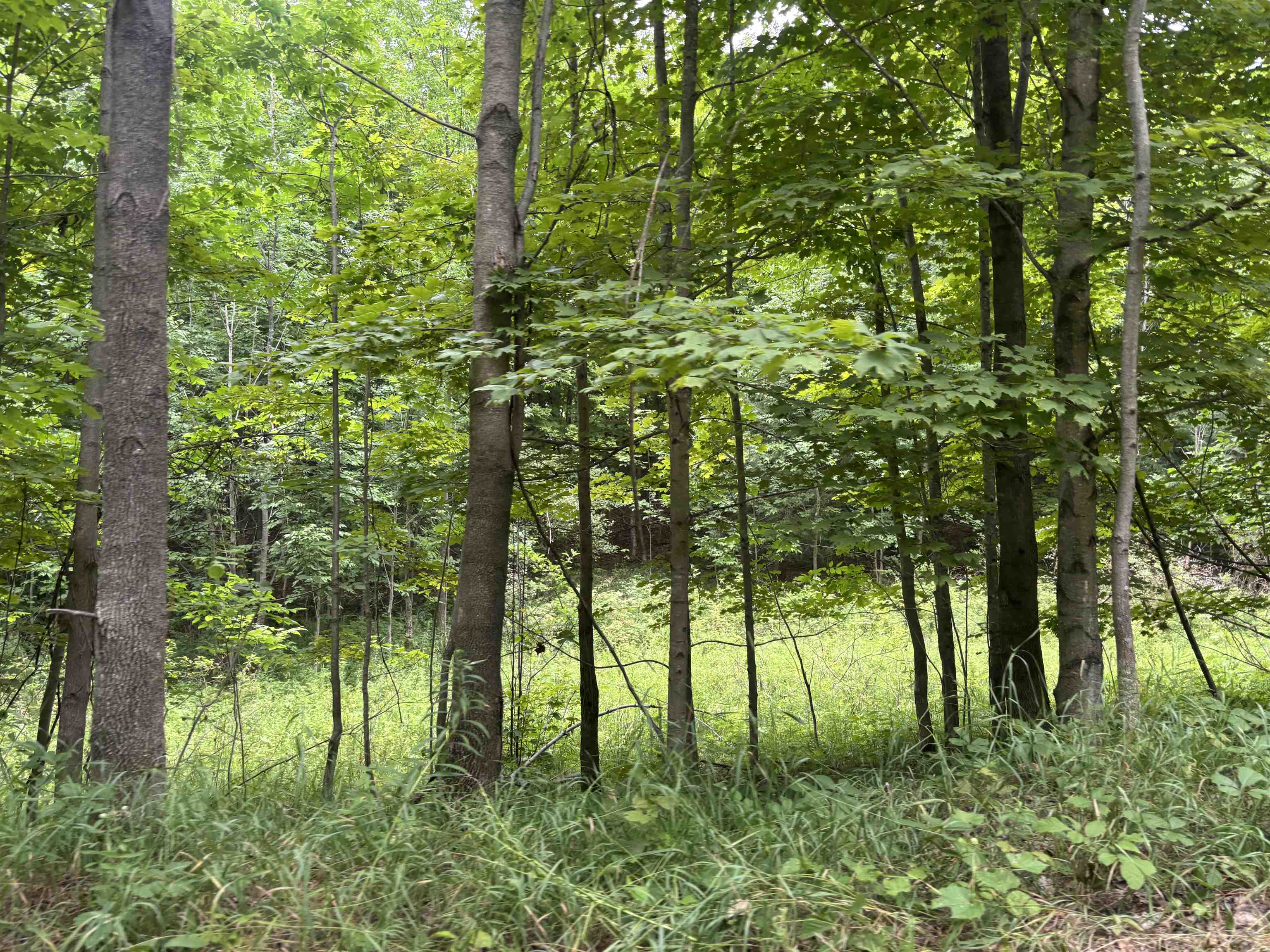 4th image of 00 Antrim Dells Rd, Ellsworth, MI 49729 | MLS# 80071868