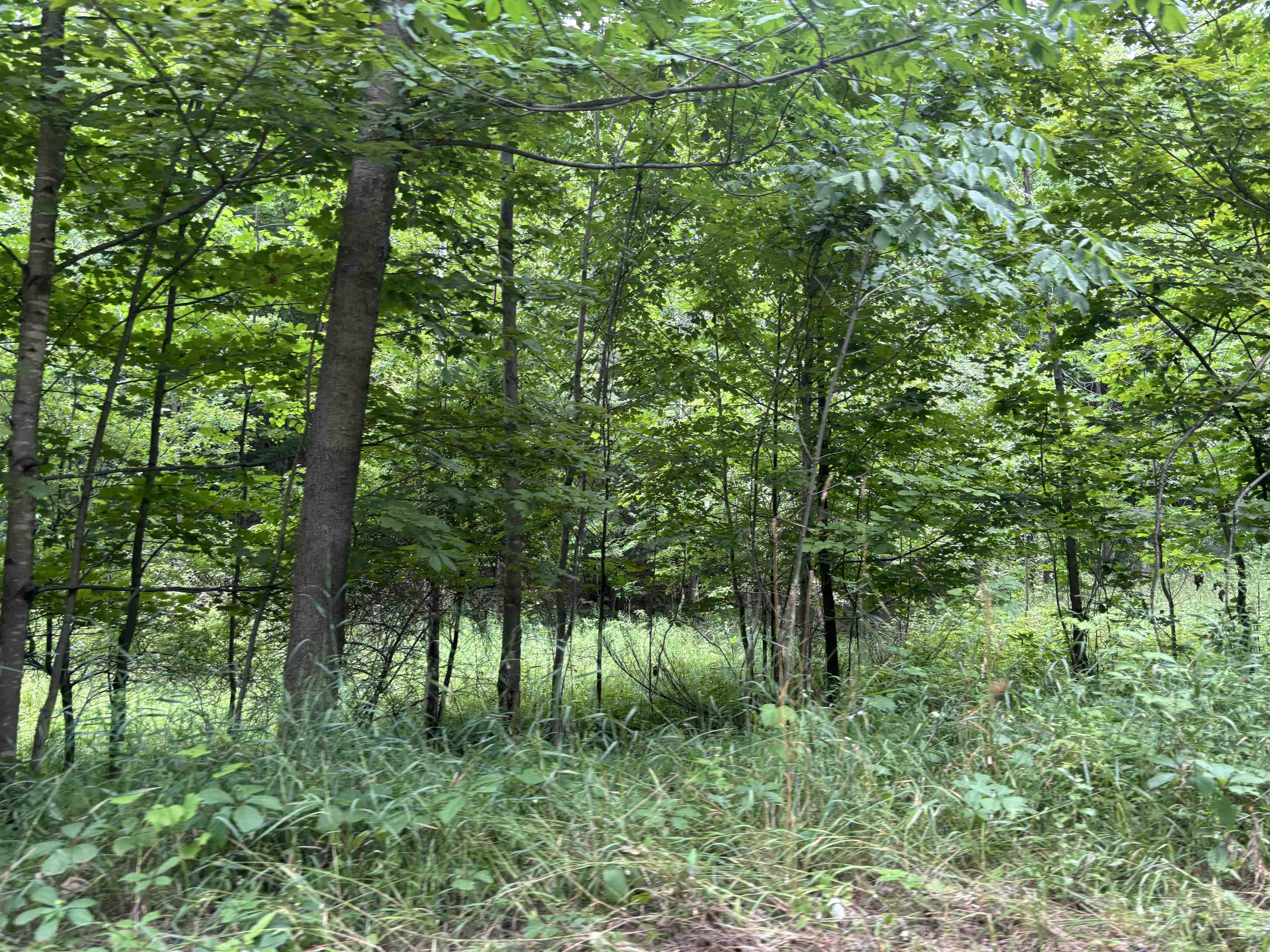 5th image of 00 Antrim Dells Rd, Ellsworth, MI 49729 | MLS# 80071868