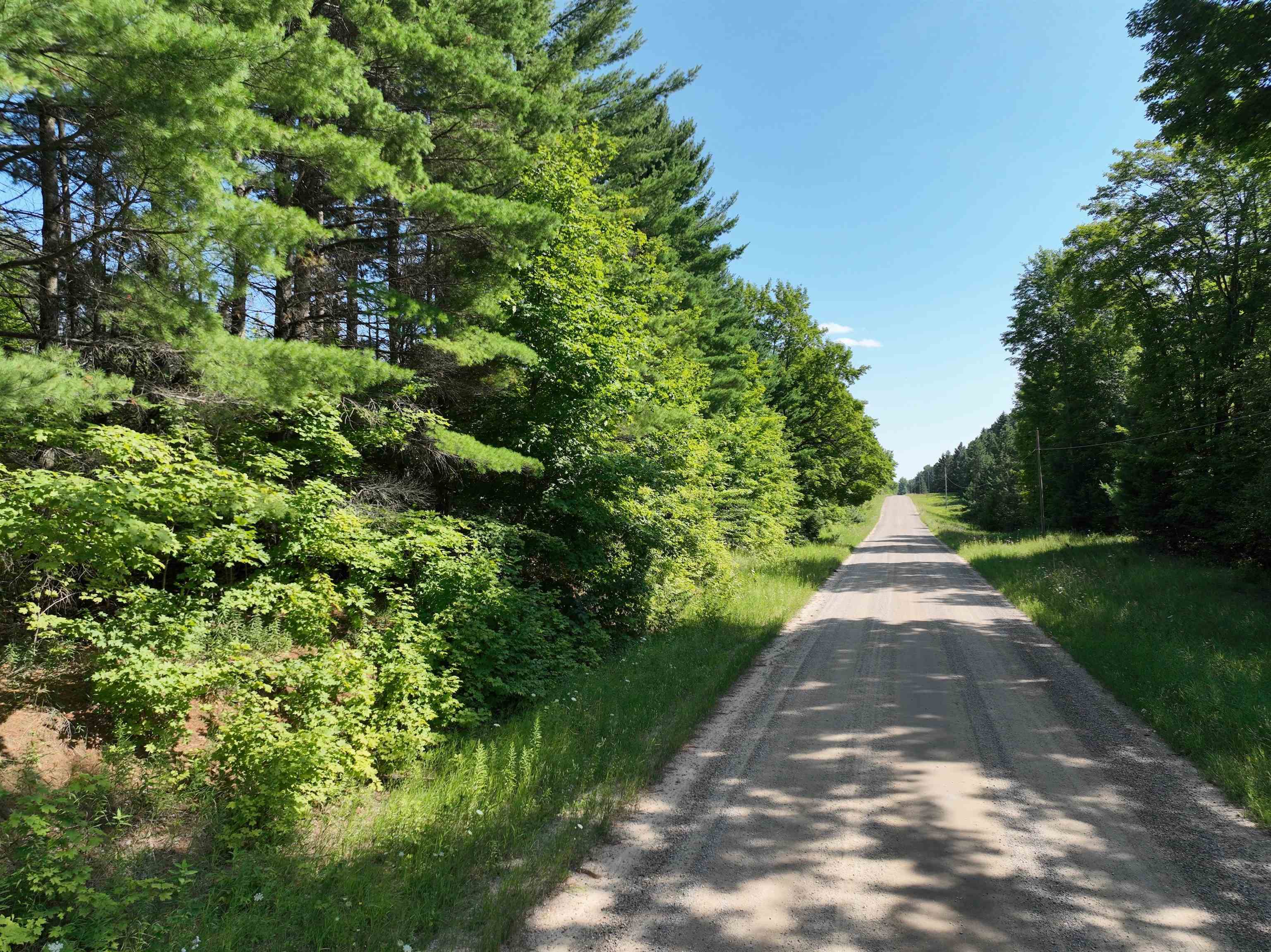 8th image of 9093 Donathan Rd, Fife Lake, MI 49633 | MLS# 80071901
