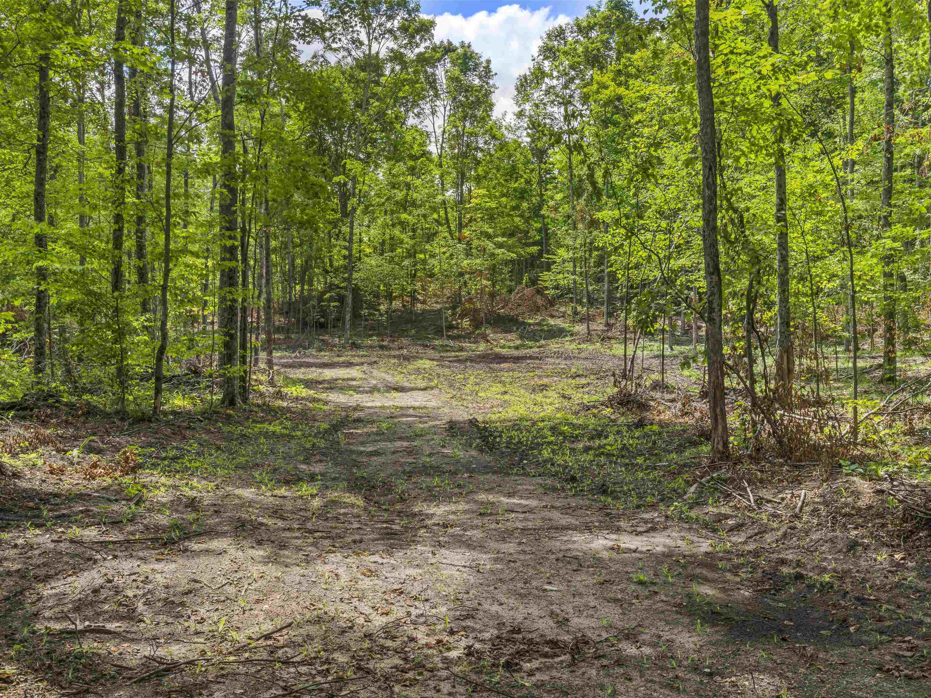 3rd image of 00 Valencourt Rd, Copemish, MI 49625 | MLS# 80071909
