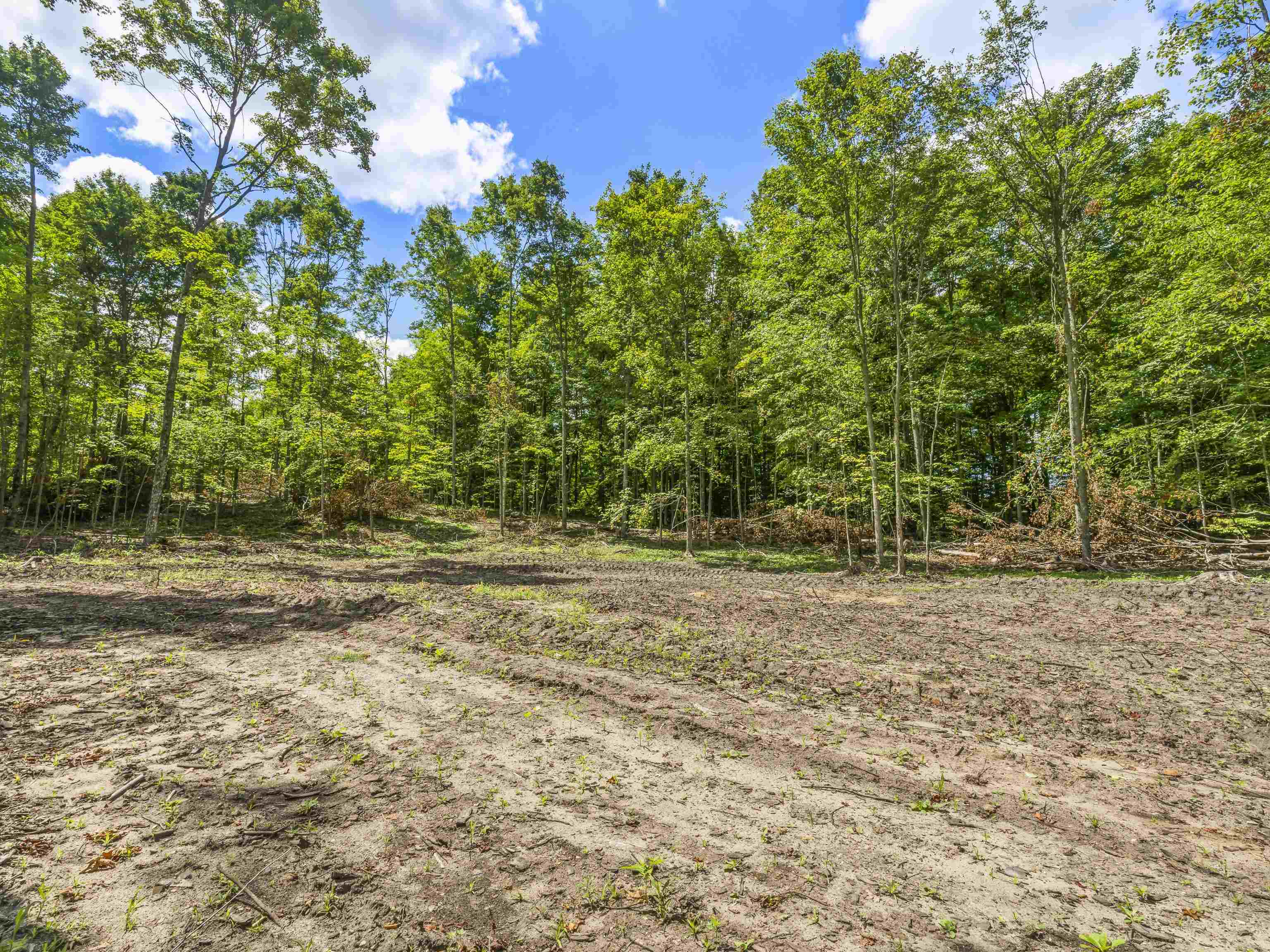 4th image of 00 Valencourt Rd, Copemish, MI 49625 | MLS# 80071909