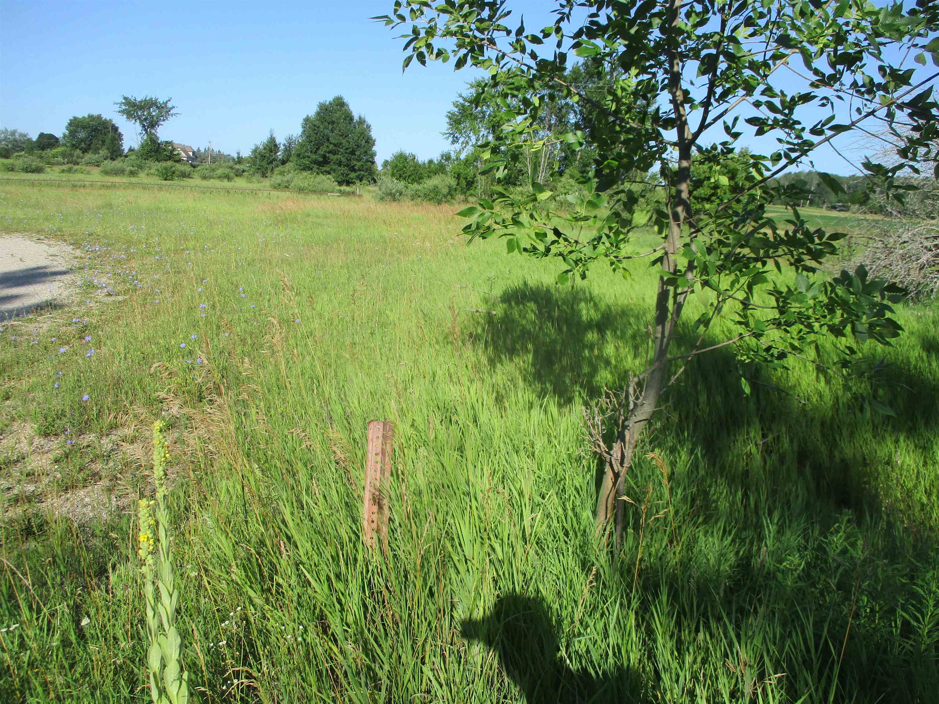 2nd image of 329 N Washington St, Prescott, MI 48756 | MLS# 80071913