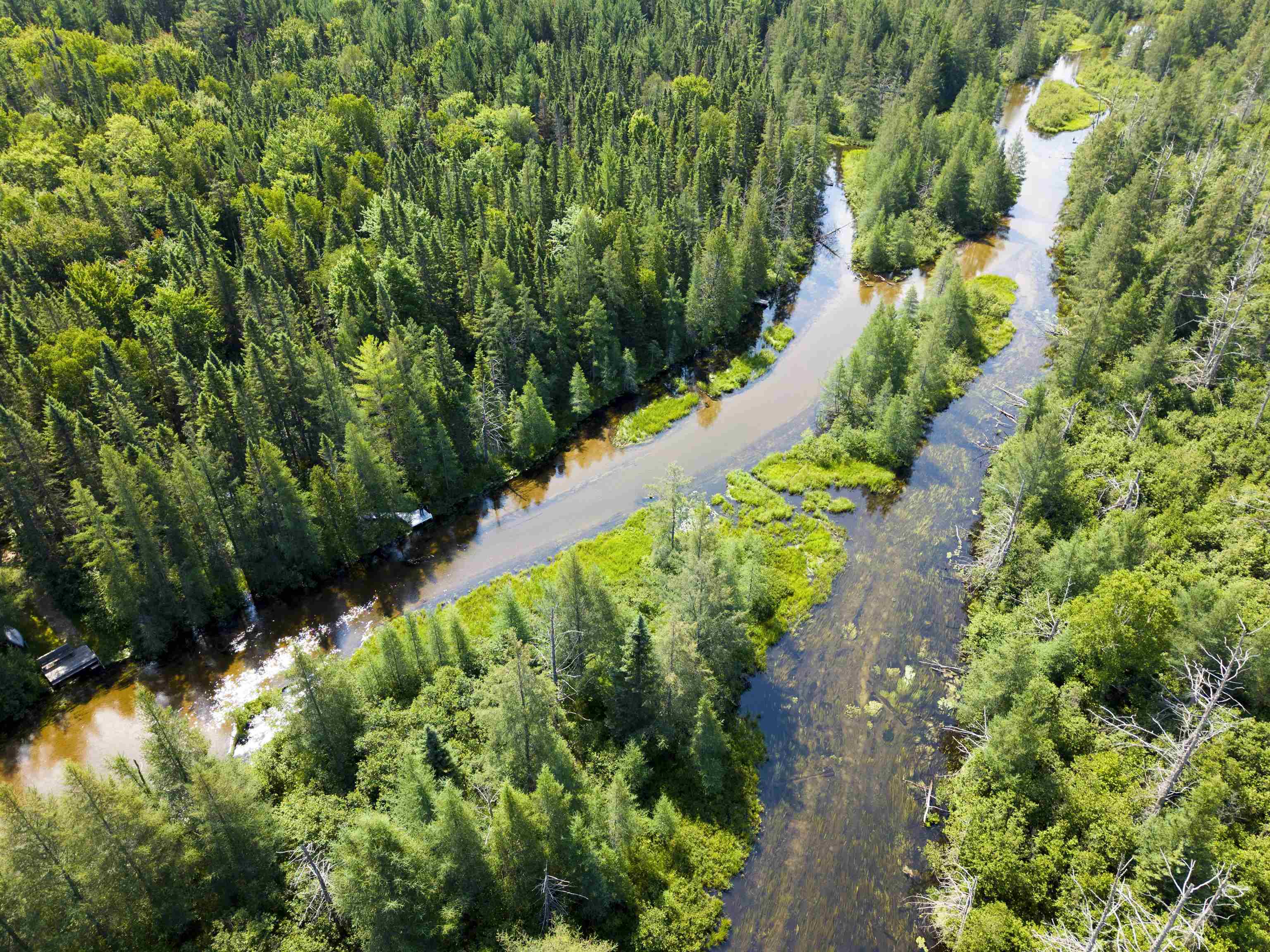 3rd image of 2406 Serenity Pnes, Grayling, MI 49738 | MLS# 80071925