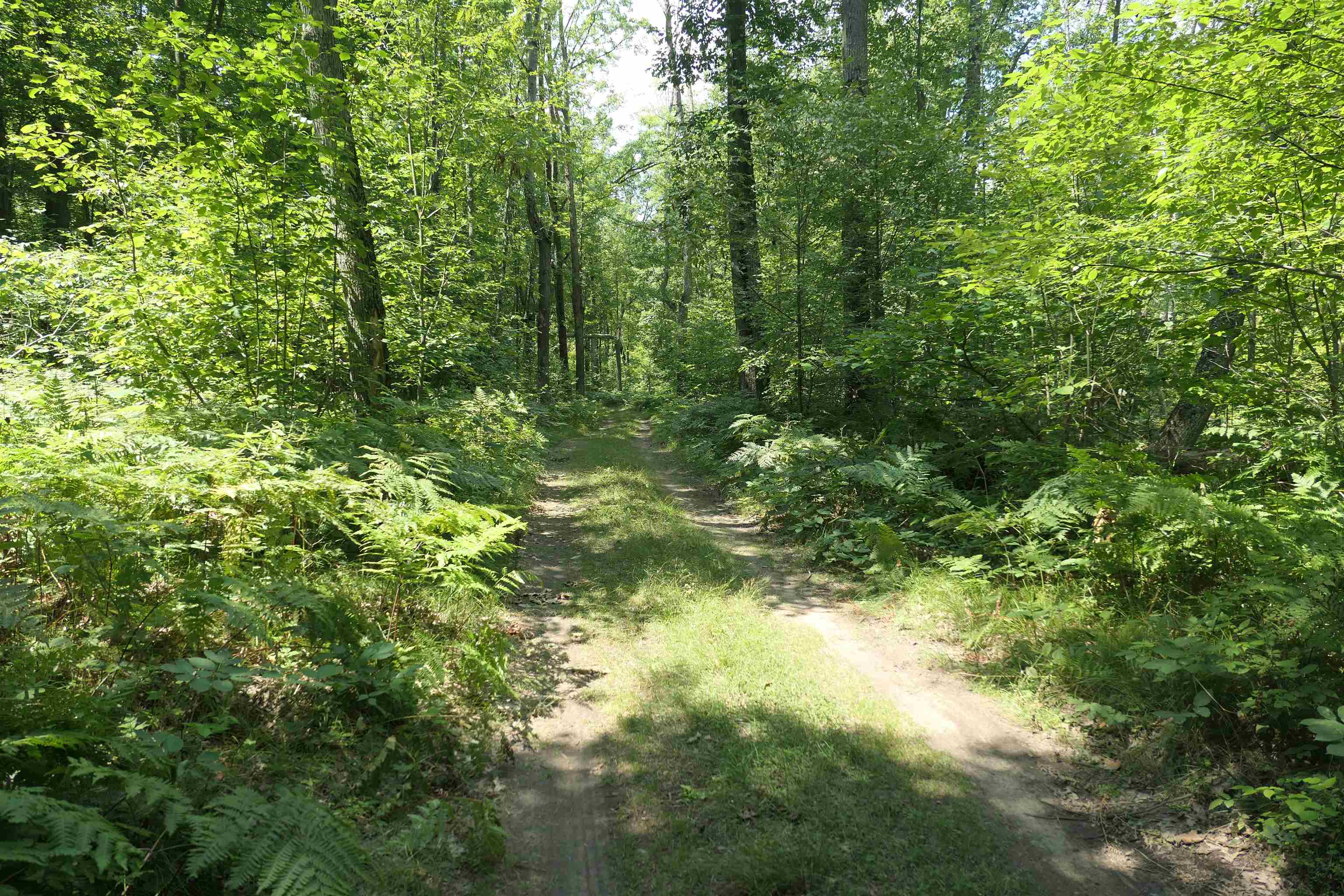 44th image of 3420 Bungo Trl, Harrison, MI 48625 | MLS# 80071953